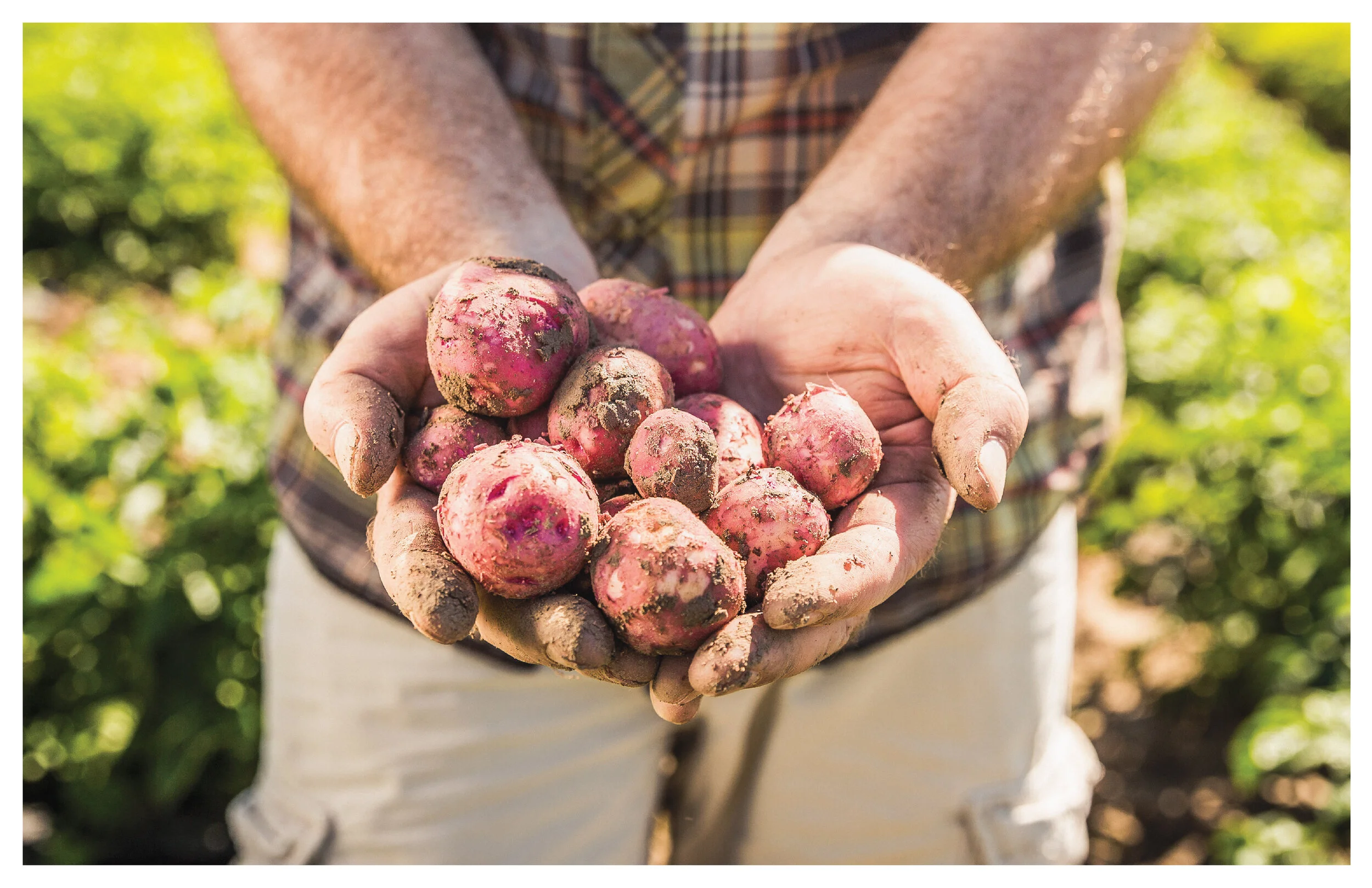 Red Rock Deli concept_170913_Page_08.jpg