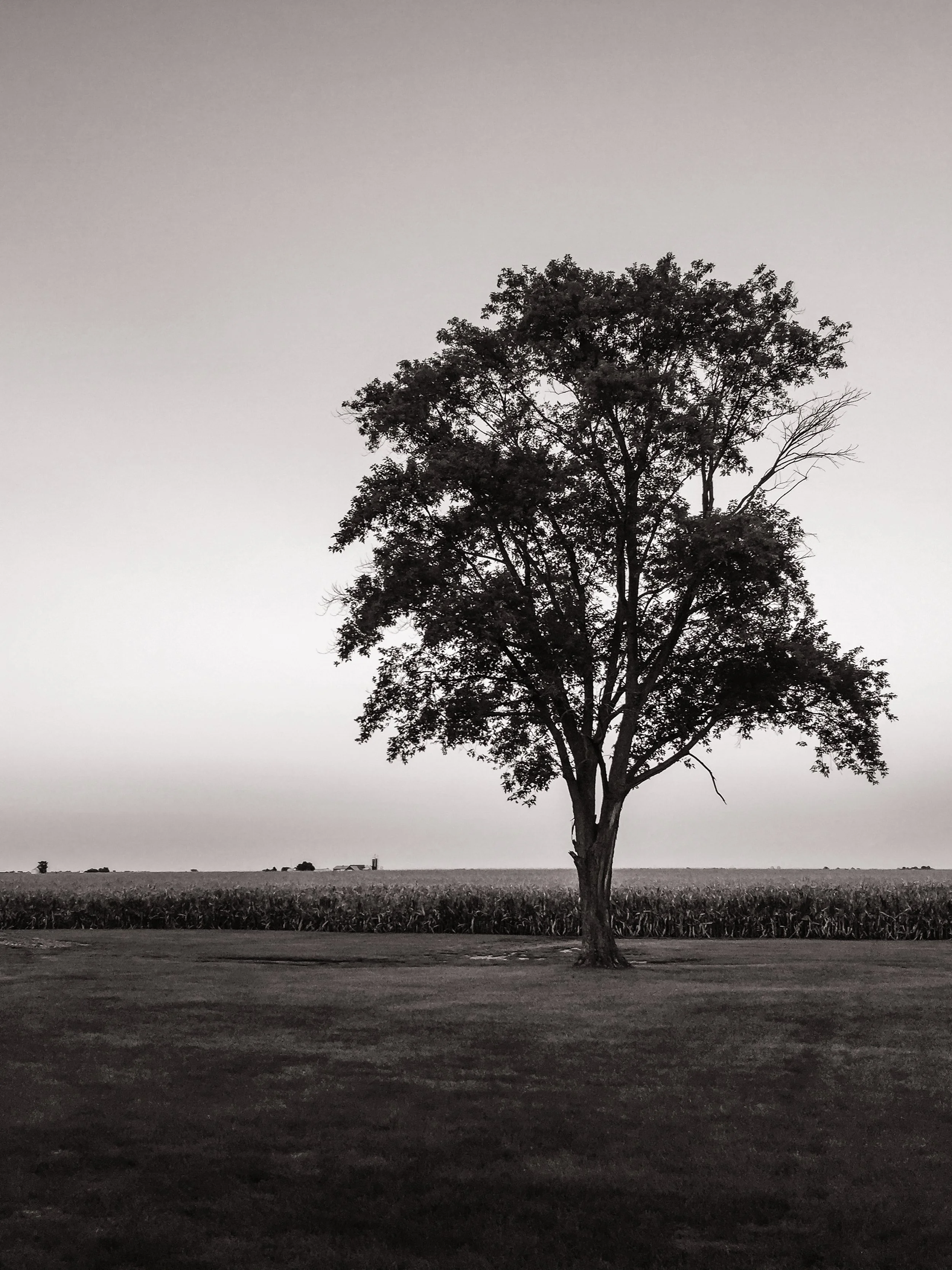Rural Illinois