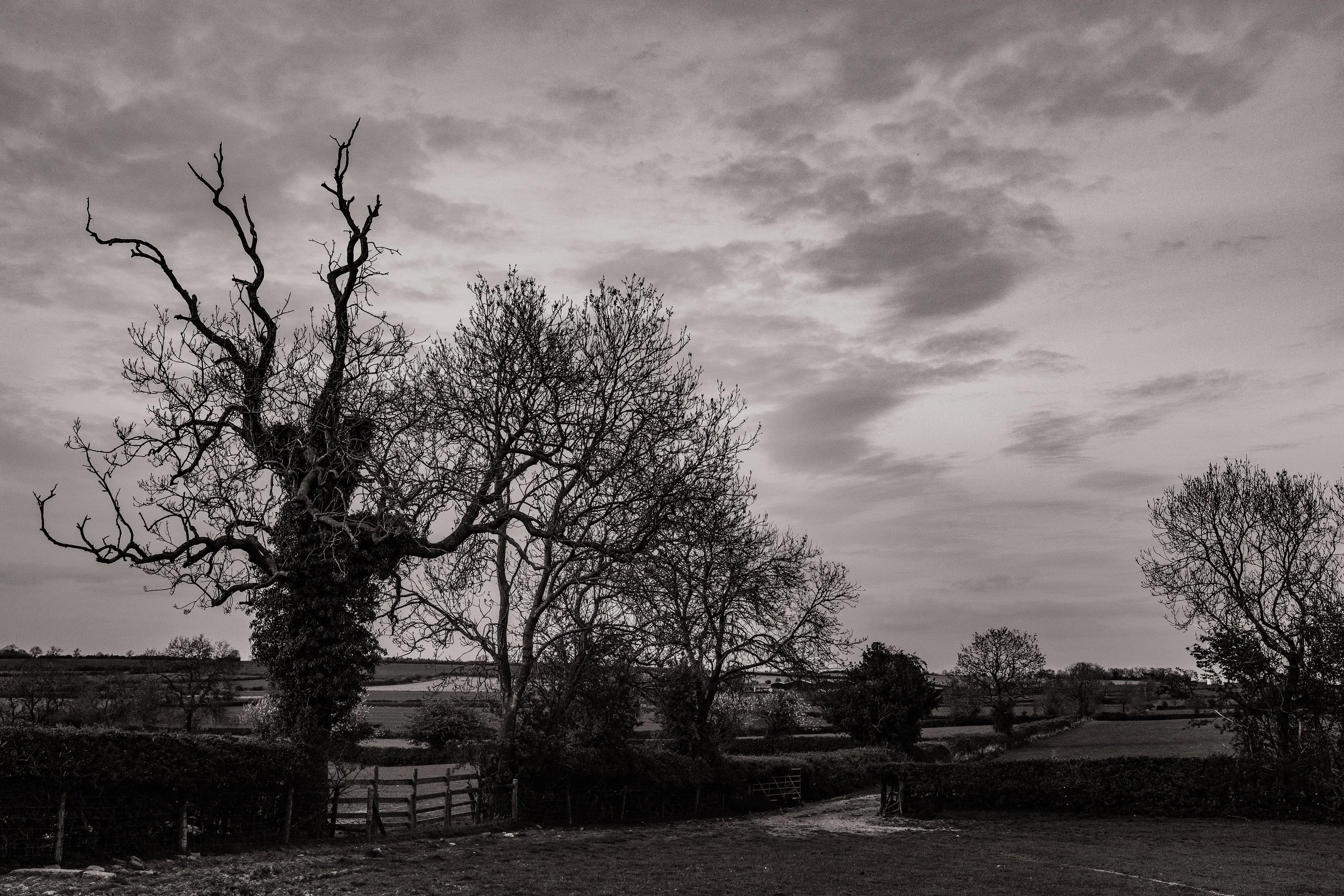 Kilworth, Leicestershire 
