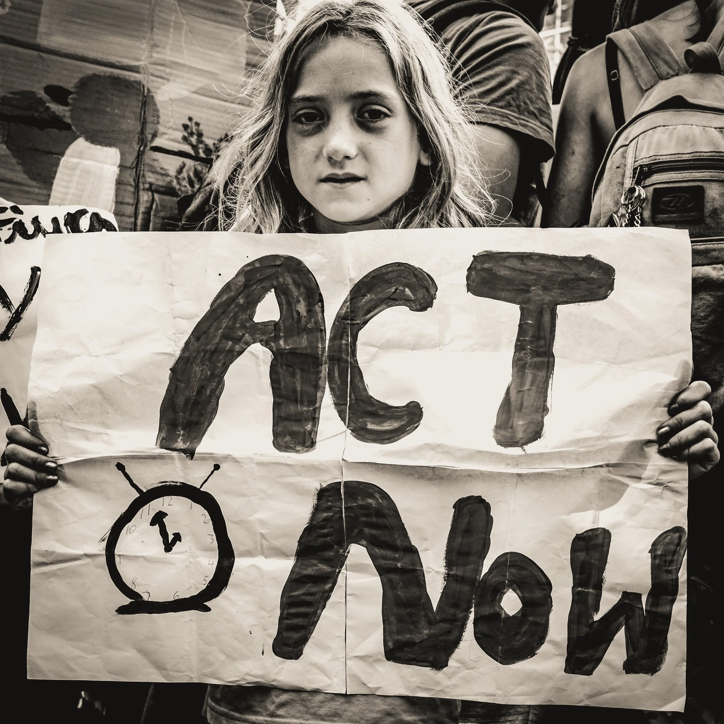 Climate Strike, 2019 