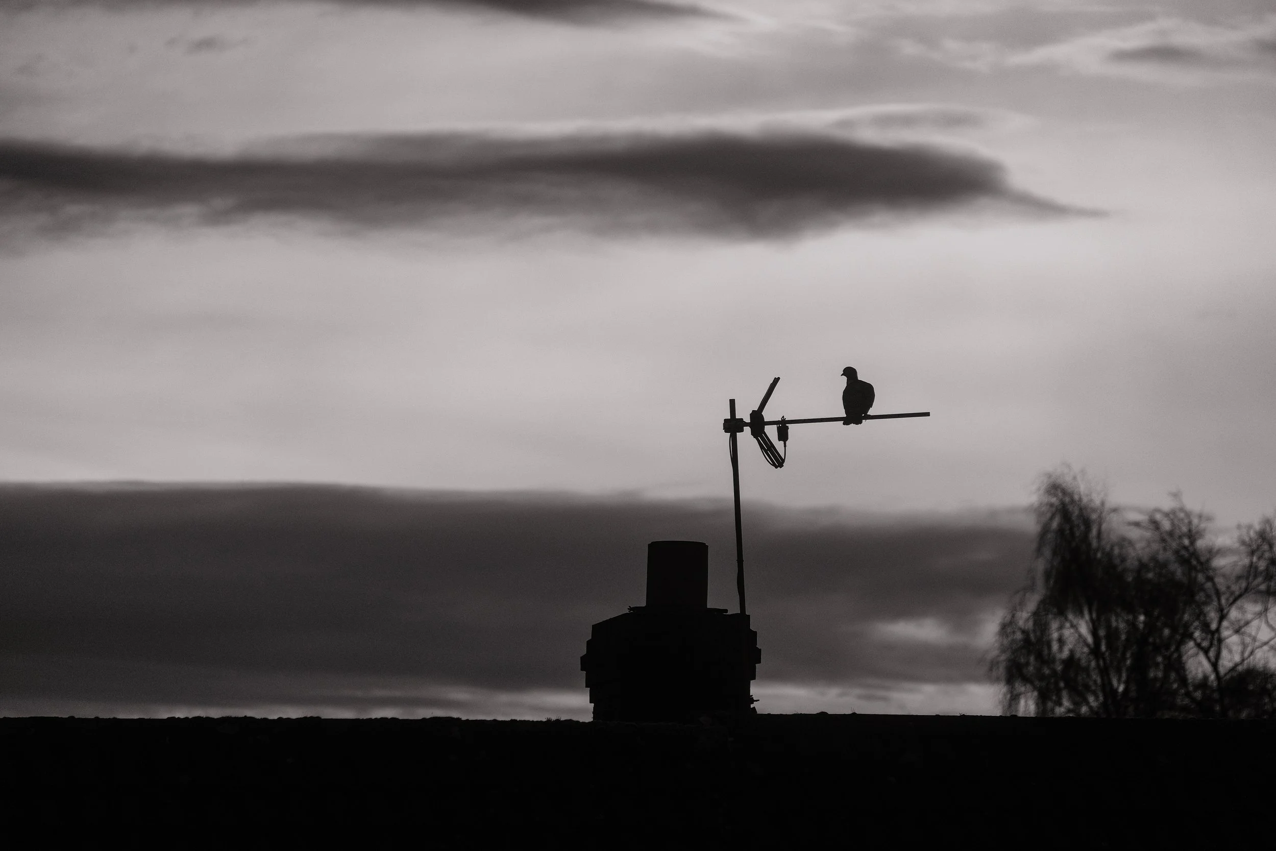 Rooftop at dawn 