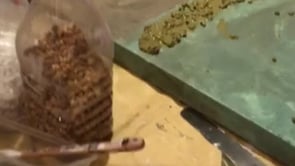 putting on texture