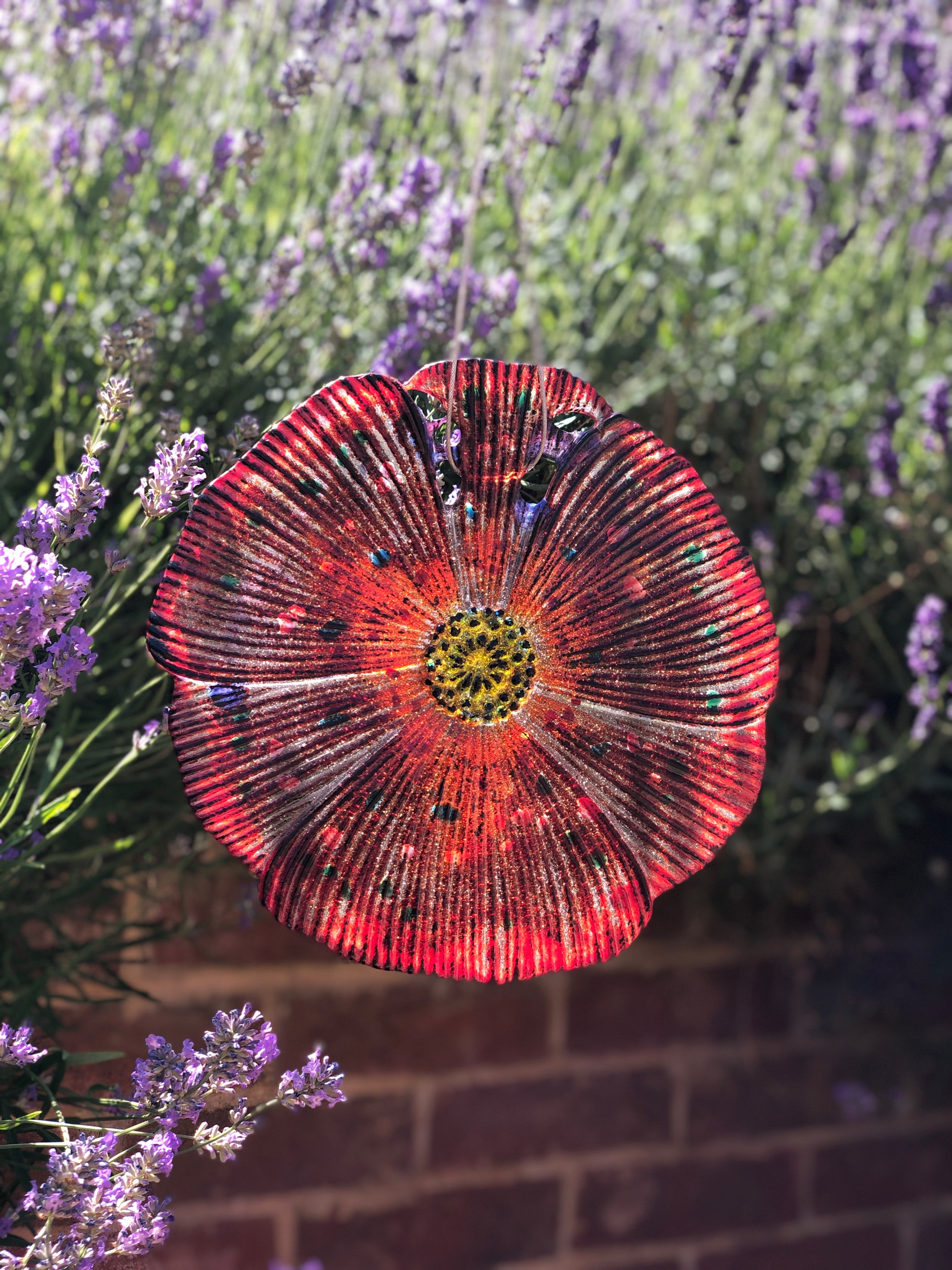 Giant poppy catching the light
