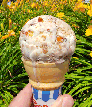 Neapolitan of the Month + Red Hot Riplet Ice Cream — Serendipity Ice ...