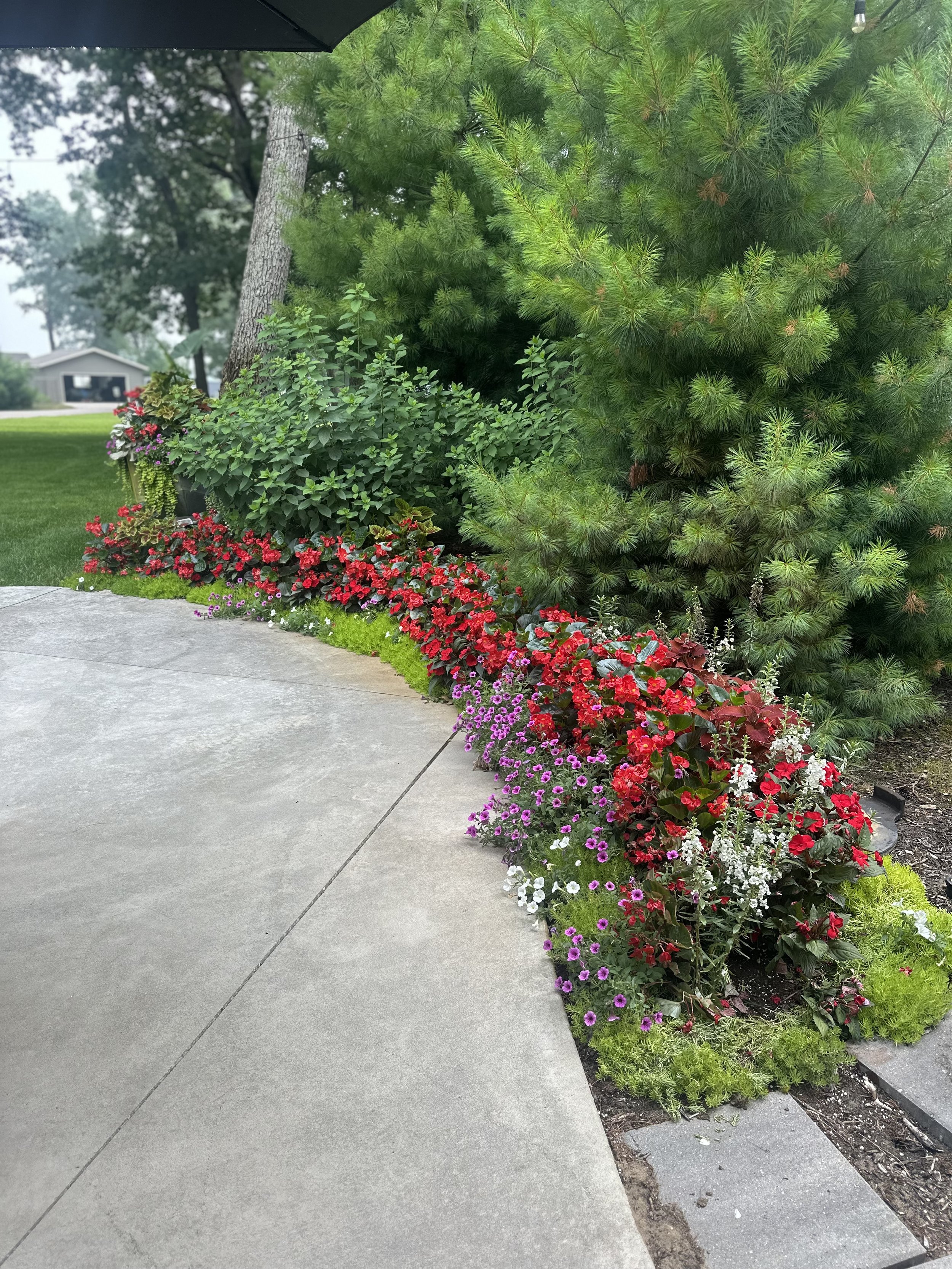 IMG_0466.jpeg