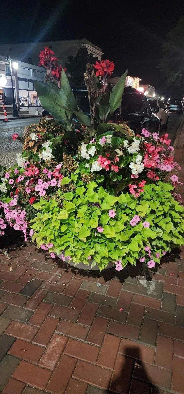 image000002.jpeg