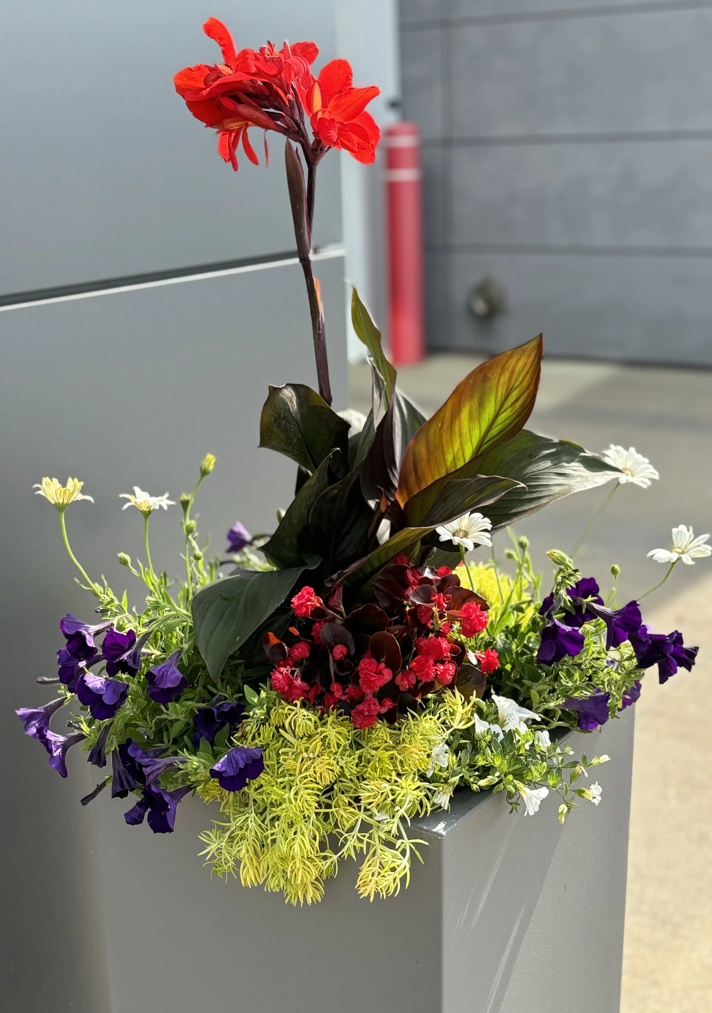 IMG_1197.jpeg