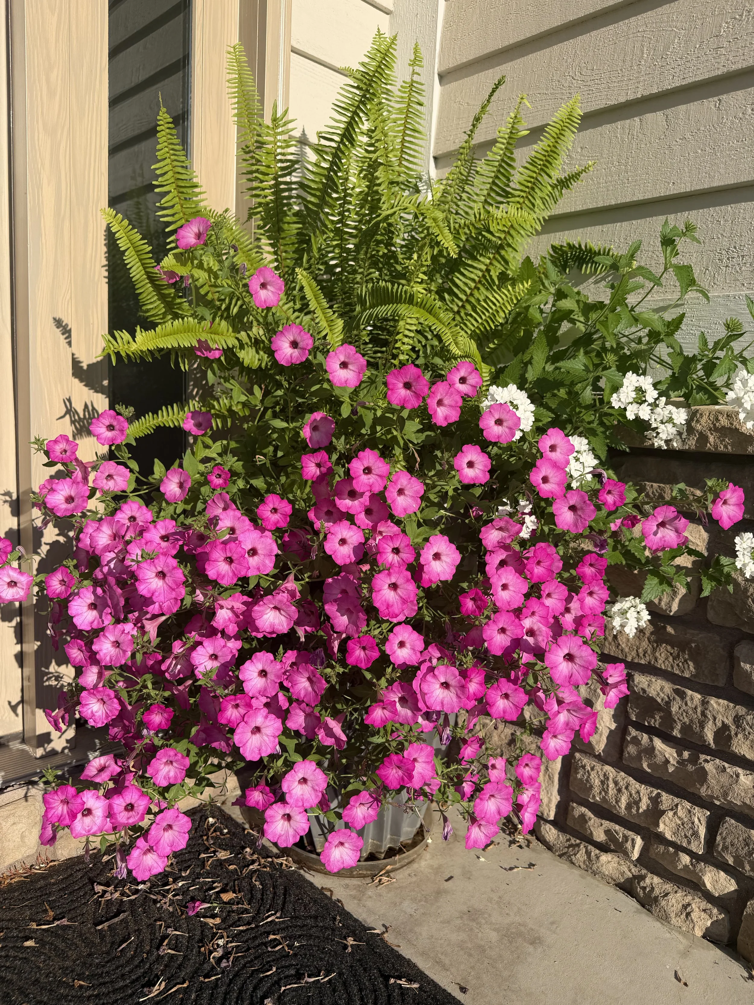 IMG_0805.jpeg