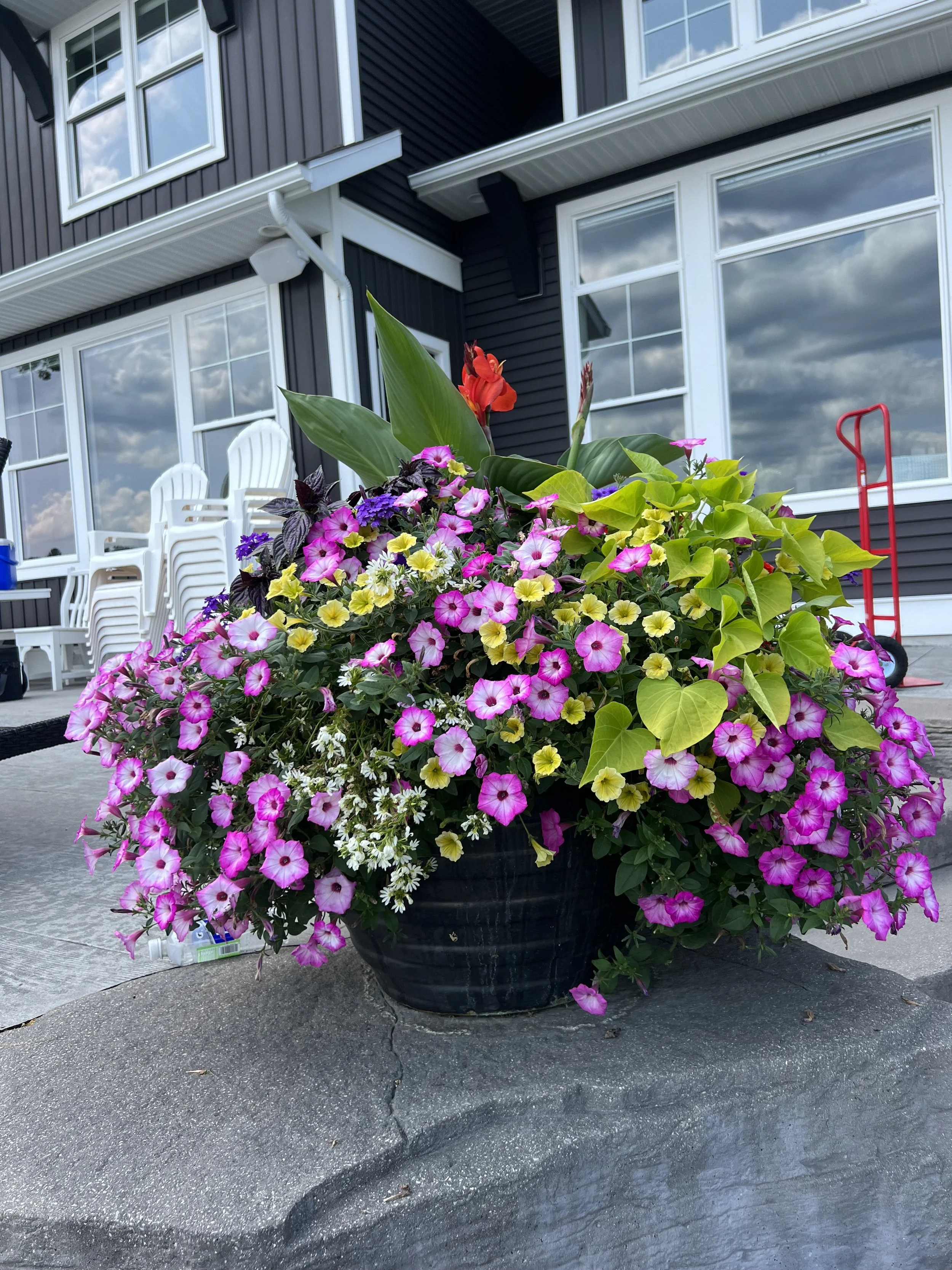 IMG_9594.jpeg