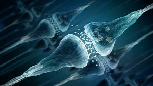 Synapses.jpg