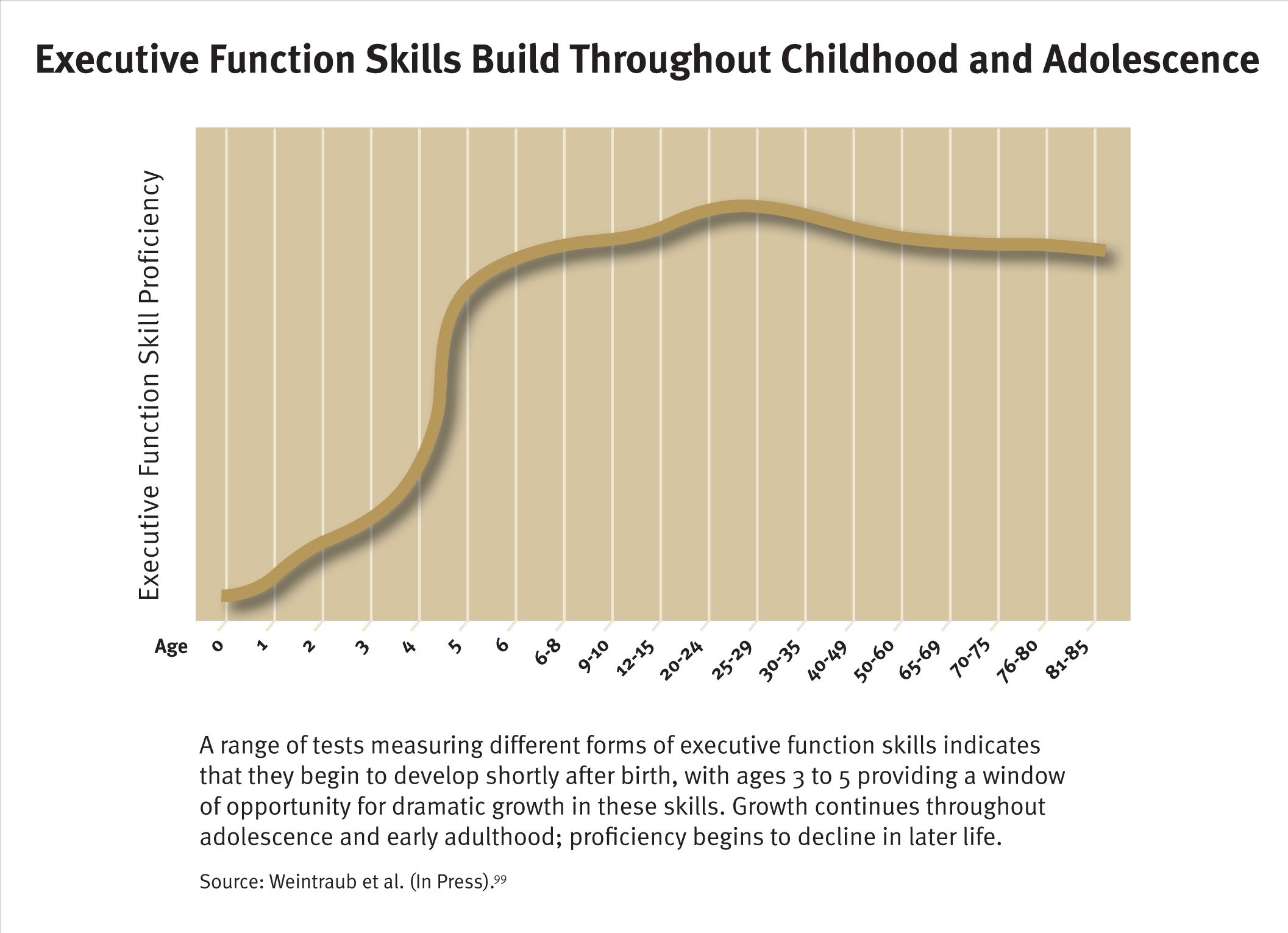 Executive-Function-and-Early-Learning.png