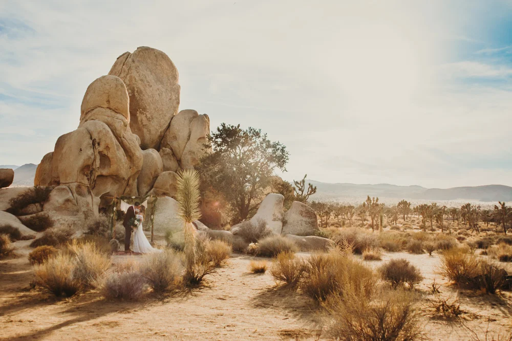 joshua-tree-california-elopement-wedding-photography.jpg