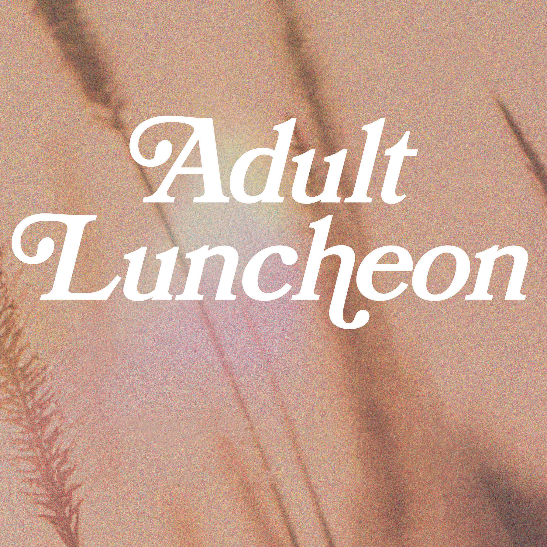 ADULT LUNCHEON 