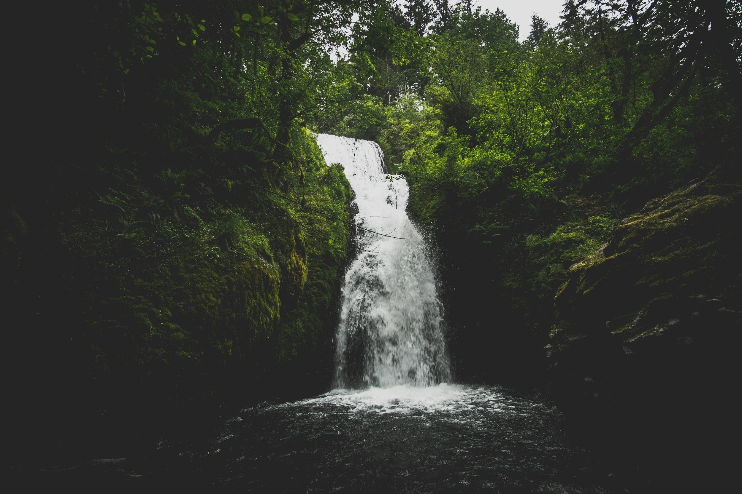 unsplash-image-dze83wByeVM.jpg