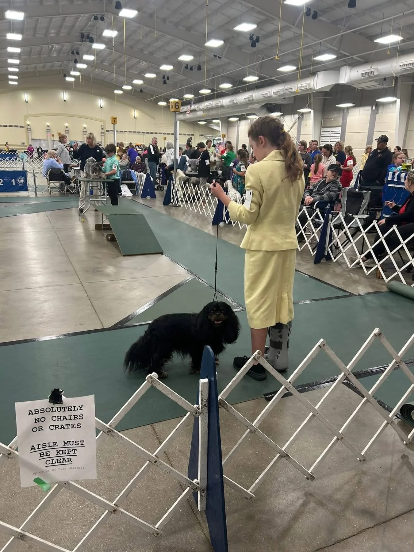 705749131_2230450727758631_123368921158667945_n.jpg