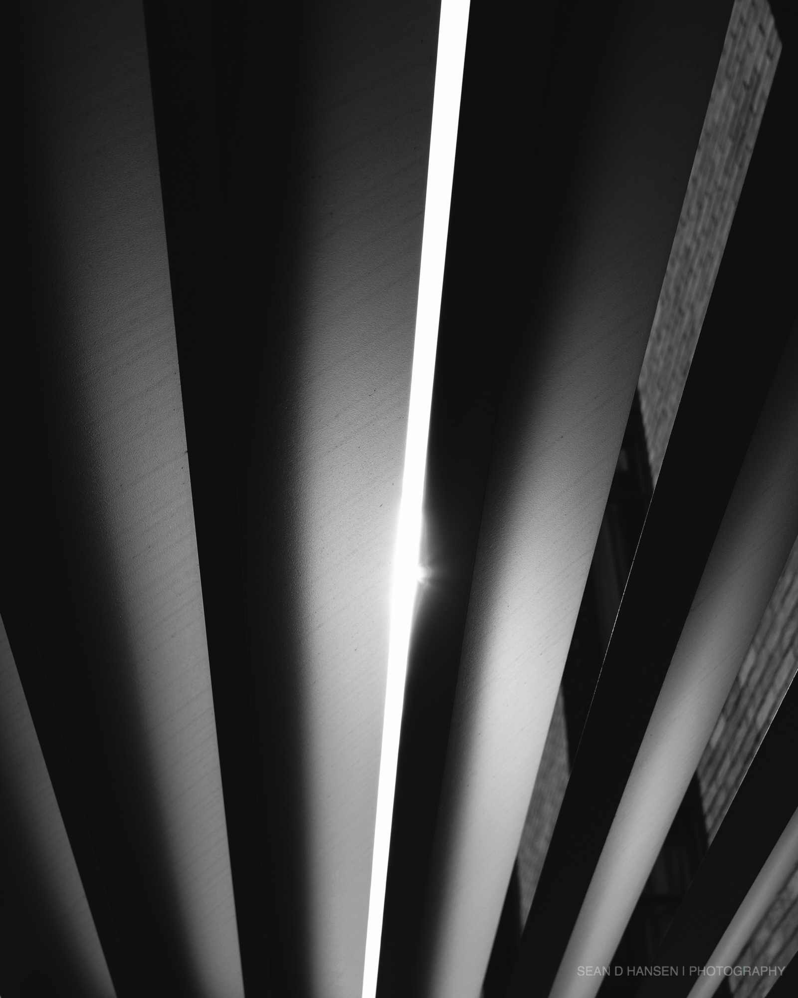 Architecture_sdh_002.jpg