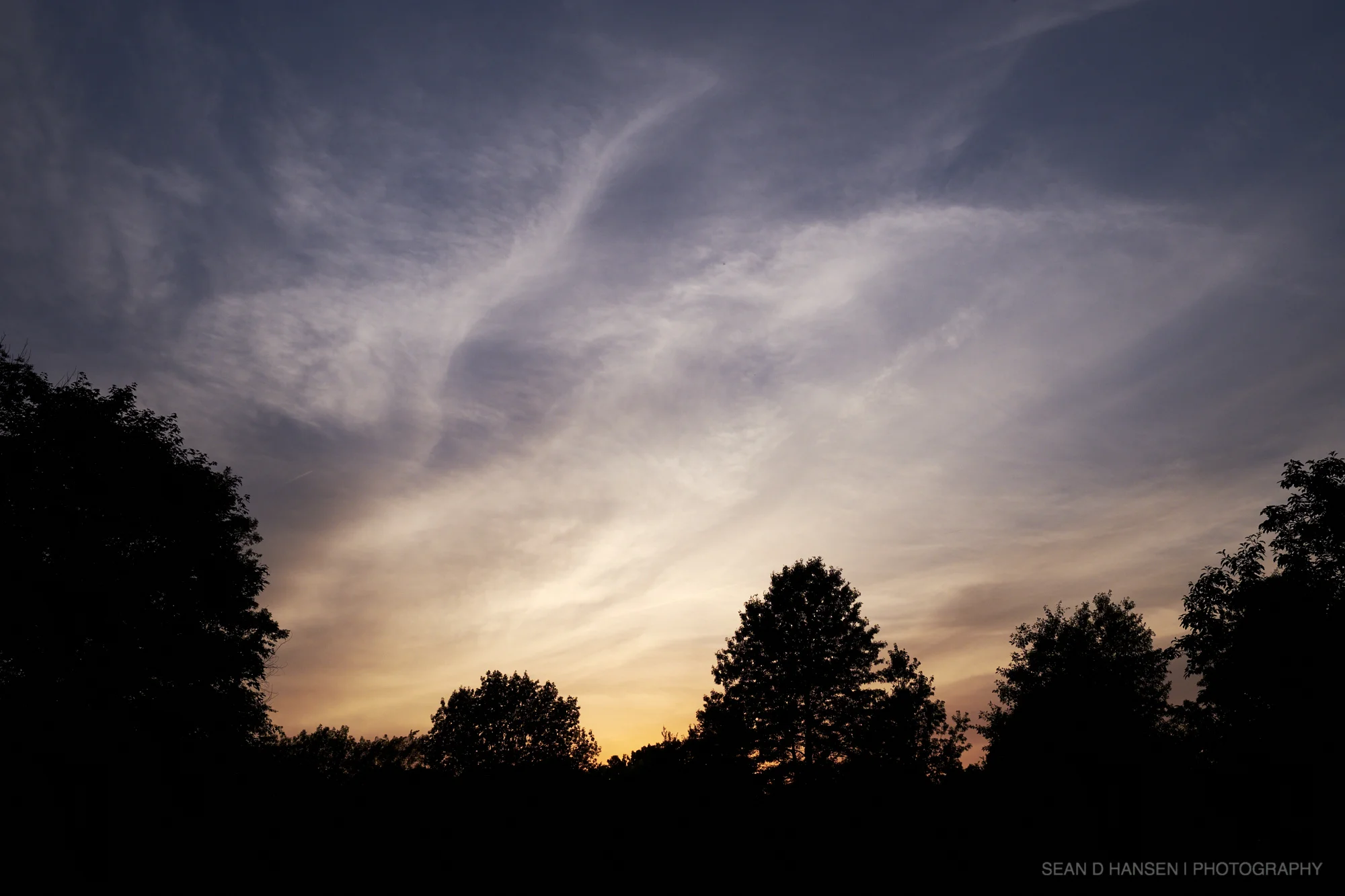 Landscape_sdh_010.jpg
