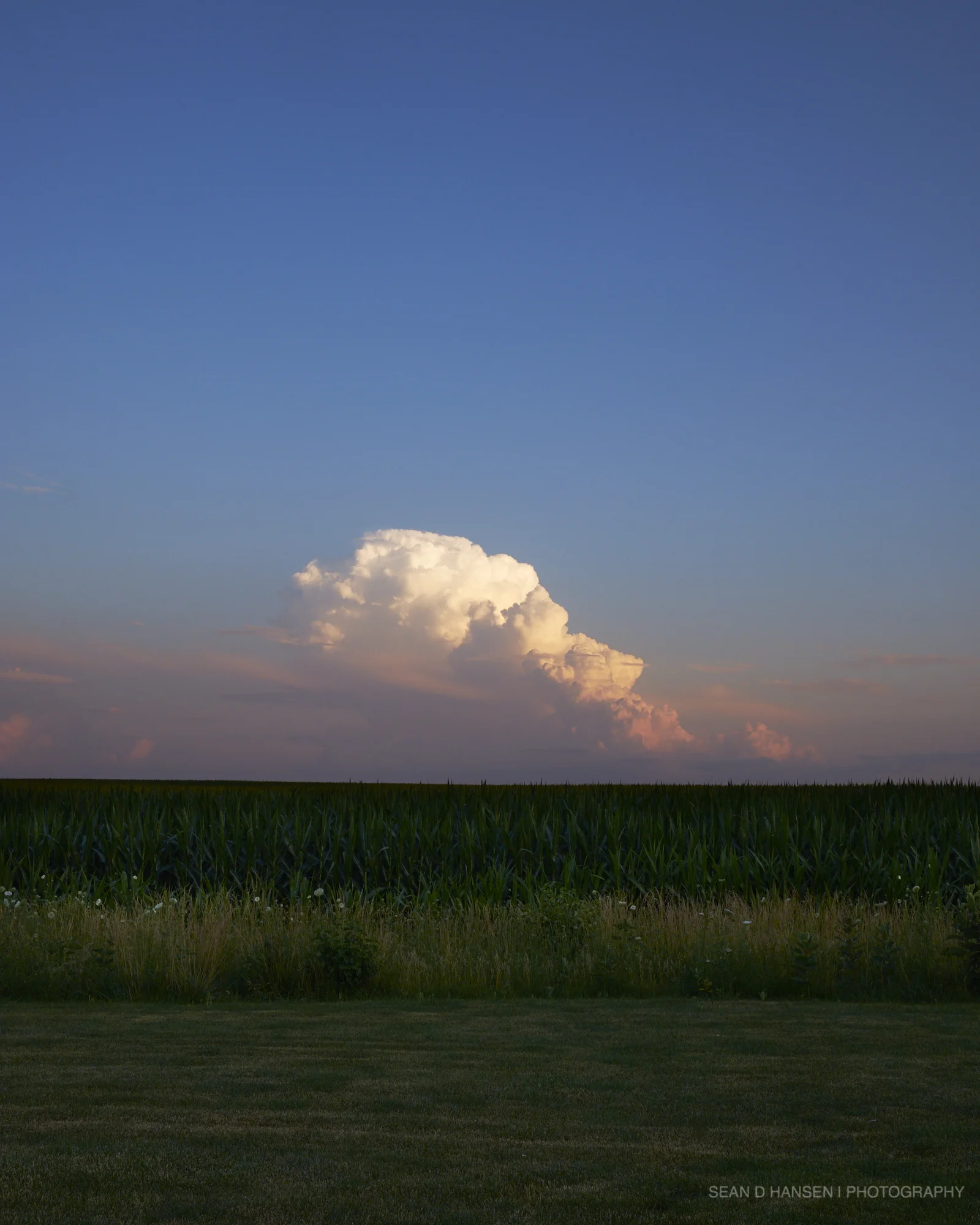 Landscape_sdh_011.jpg