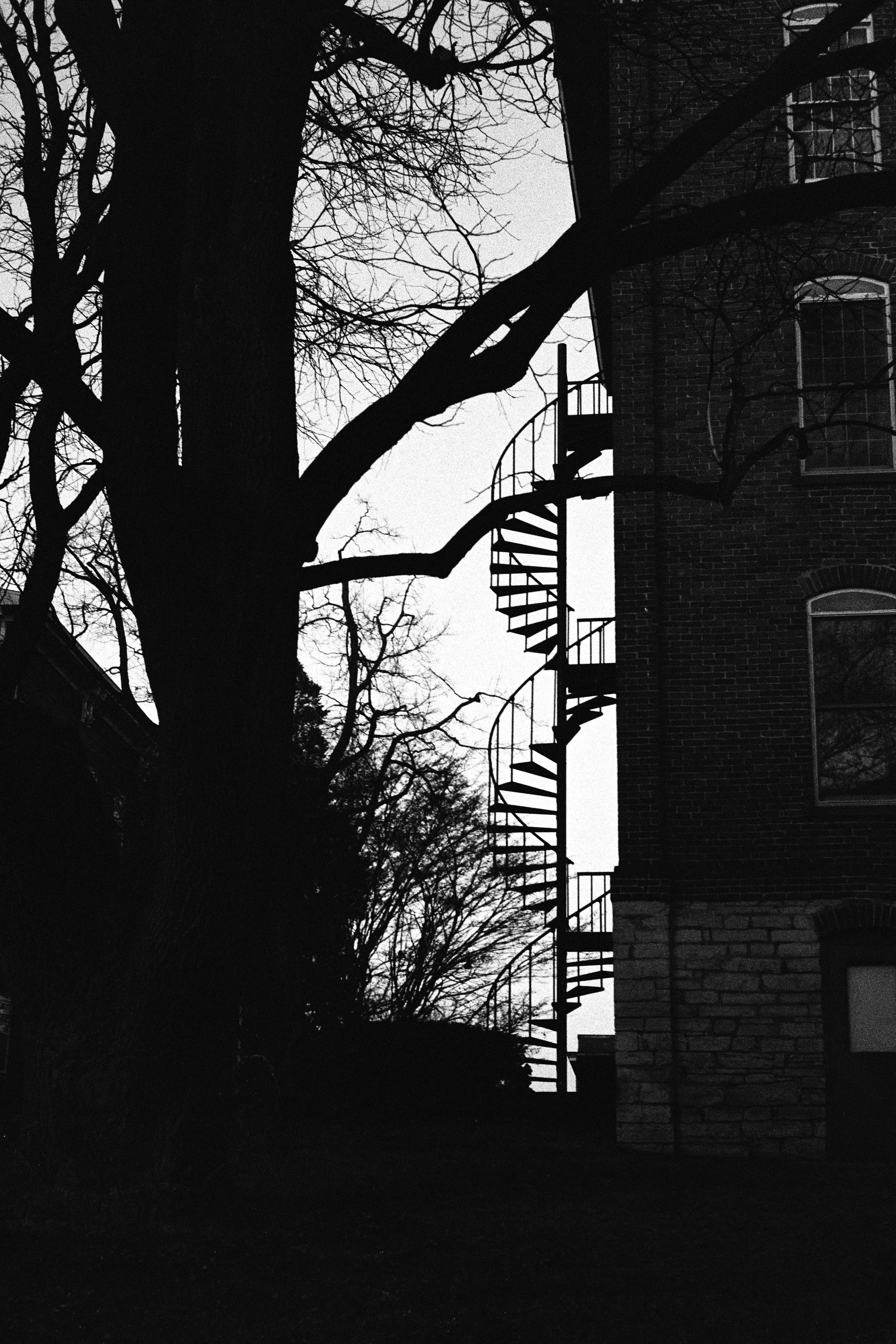 Architecture_2019.01_0629.p2_31.jpg