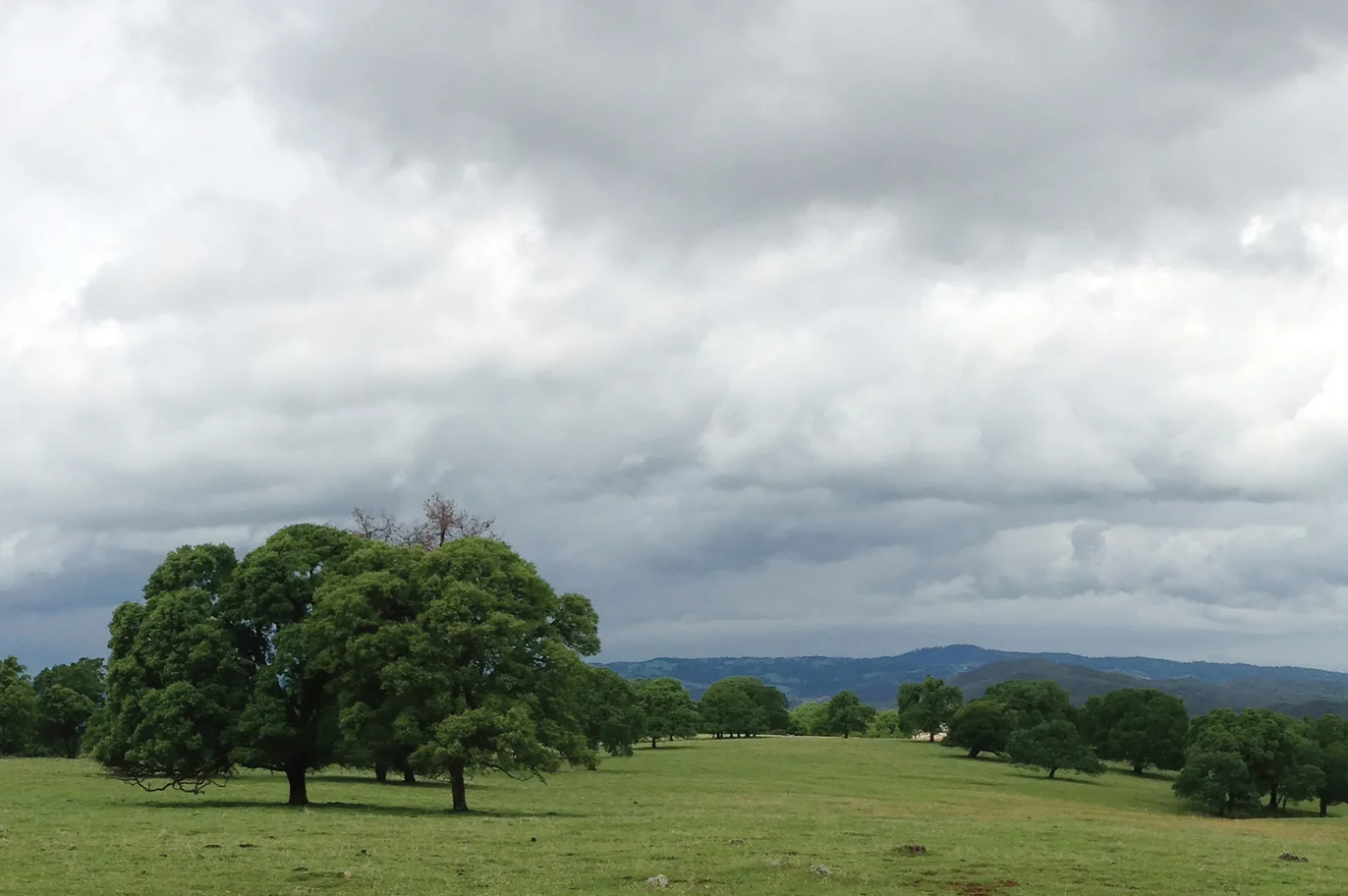 San Stino Community Vision