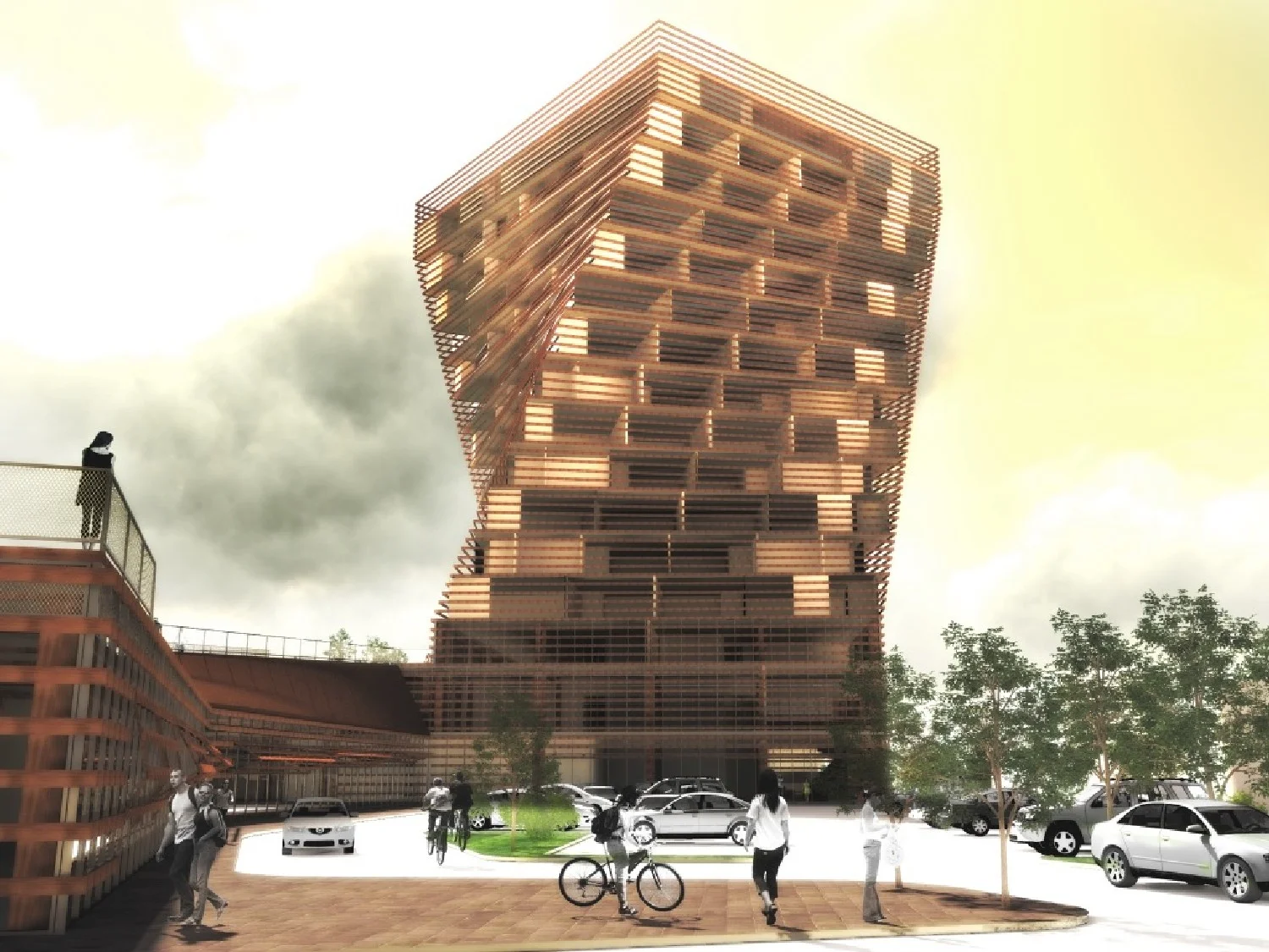 Timber in the City