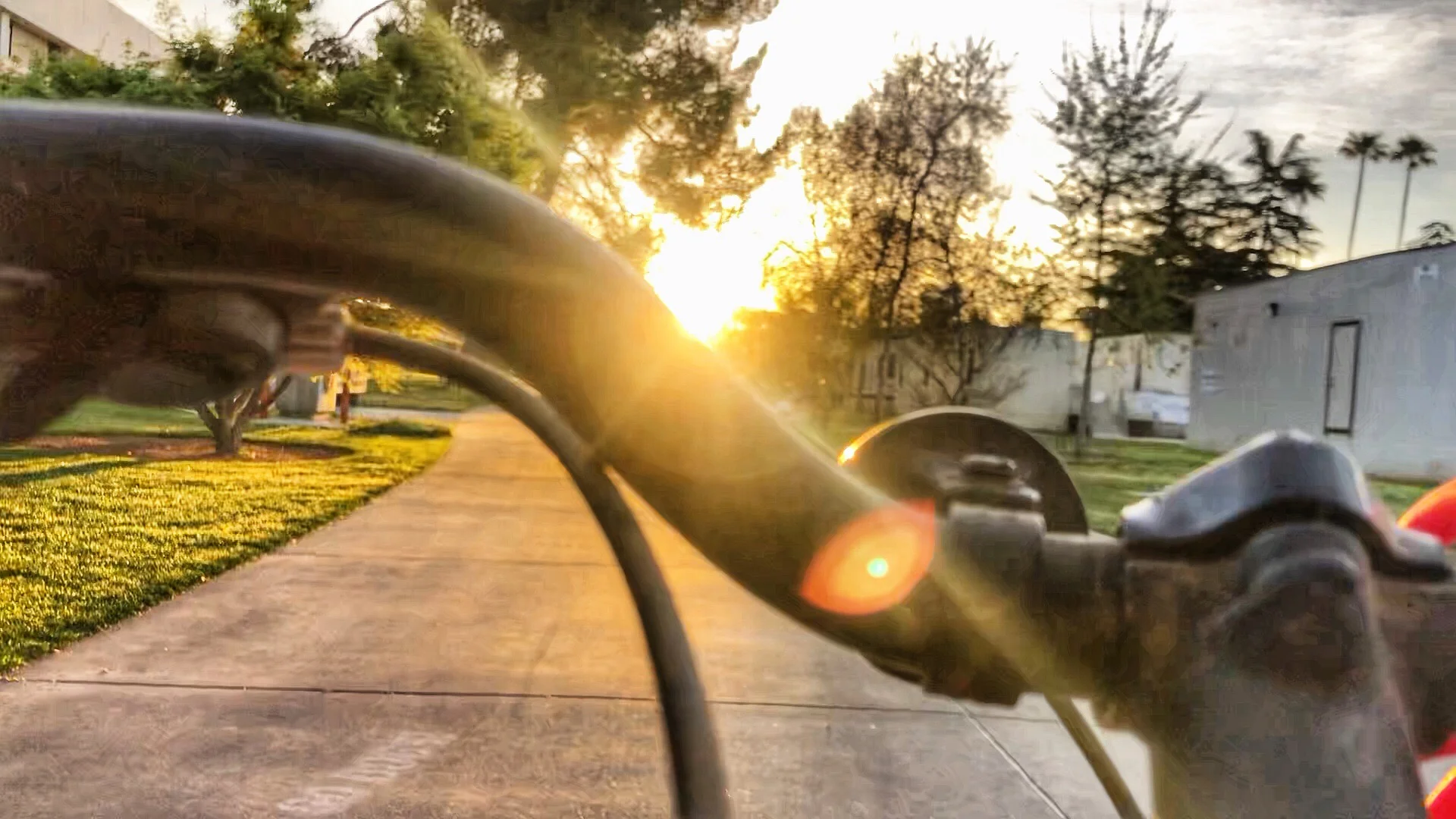 Week 12: Bike Riding