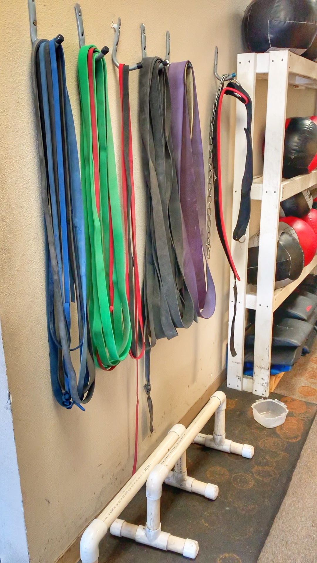 Week 15: Resistance Bands