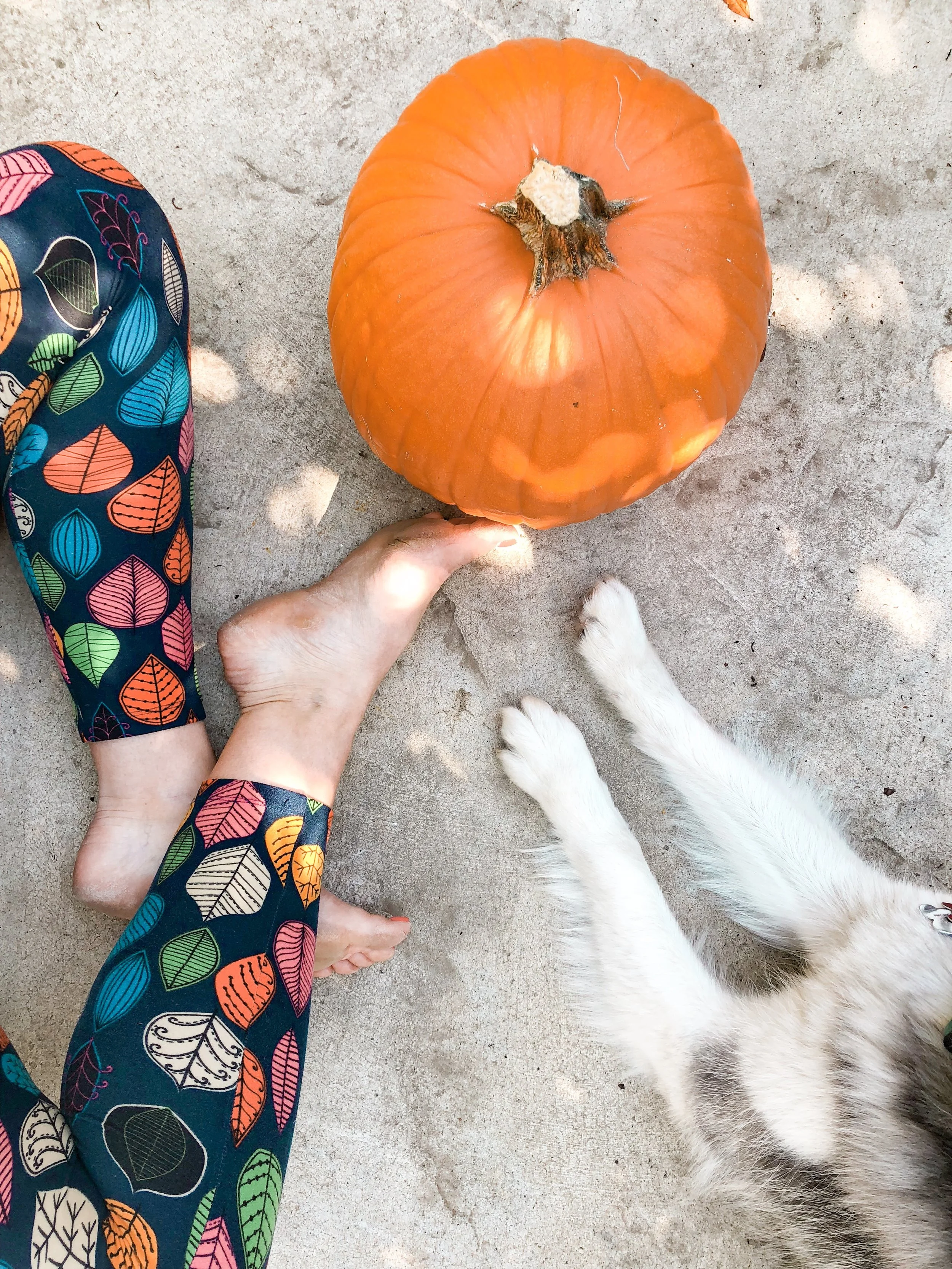 Week 40: 7 minute pumpkin workout