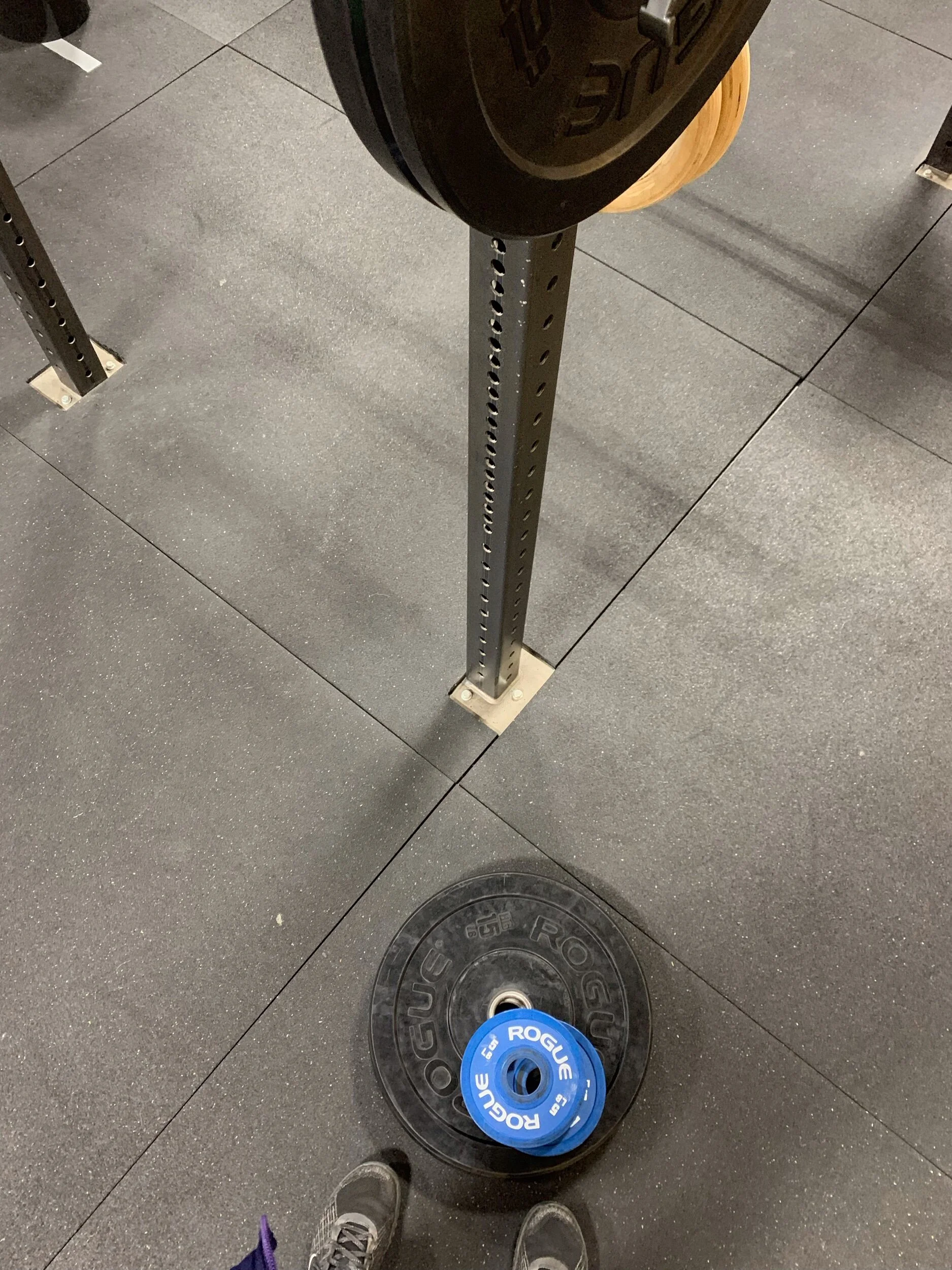 Acclimation Phase: Week 2
