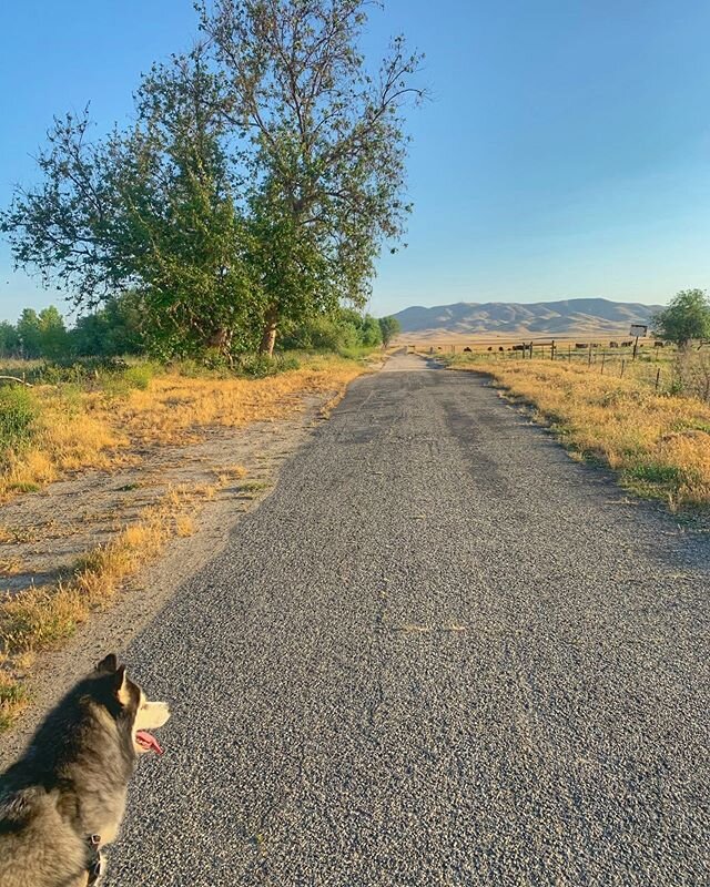 &ldquo;Realistically, we have a lifetime ahead of us to take on different races. As endurance athletes the biggest hurdle that we&rsquo;ll ever encounter is preparing for the things we cannot prepare for.
⠀⠀
As athletes, we are resilient.
⠀⠀
As long 