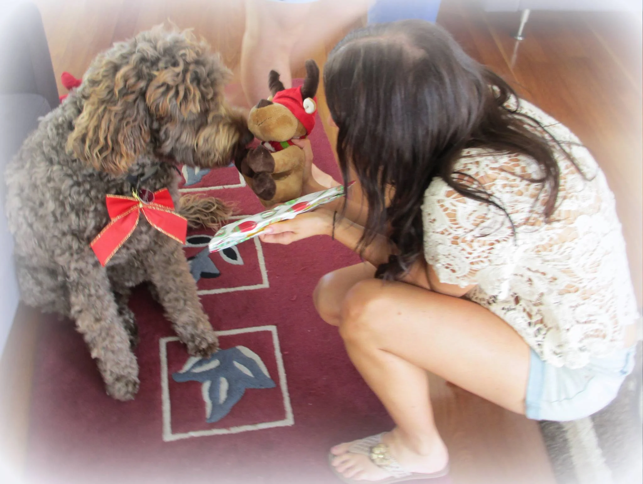 A photo of my sister giving our dog, Cooper, a present in 2011 - the last Christmas we shared together.