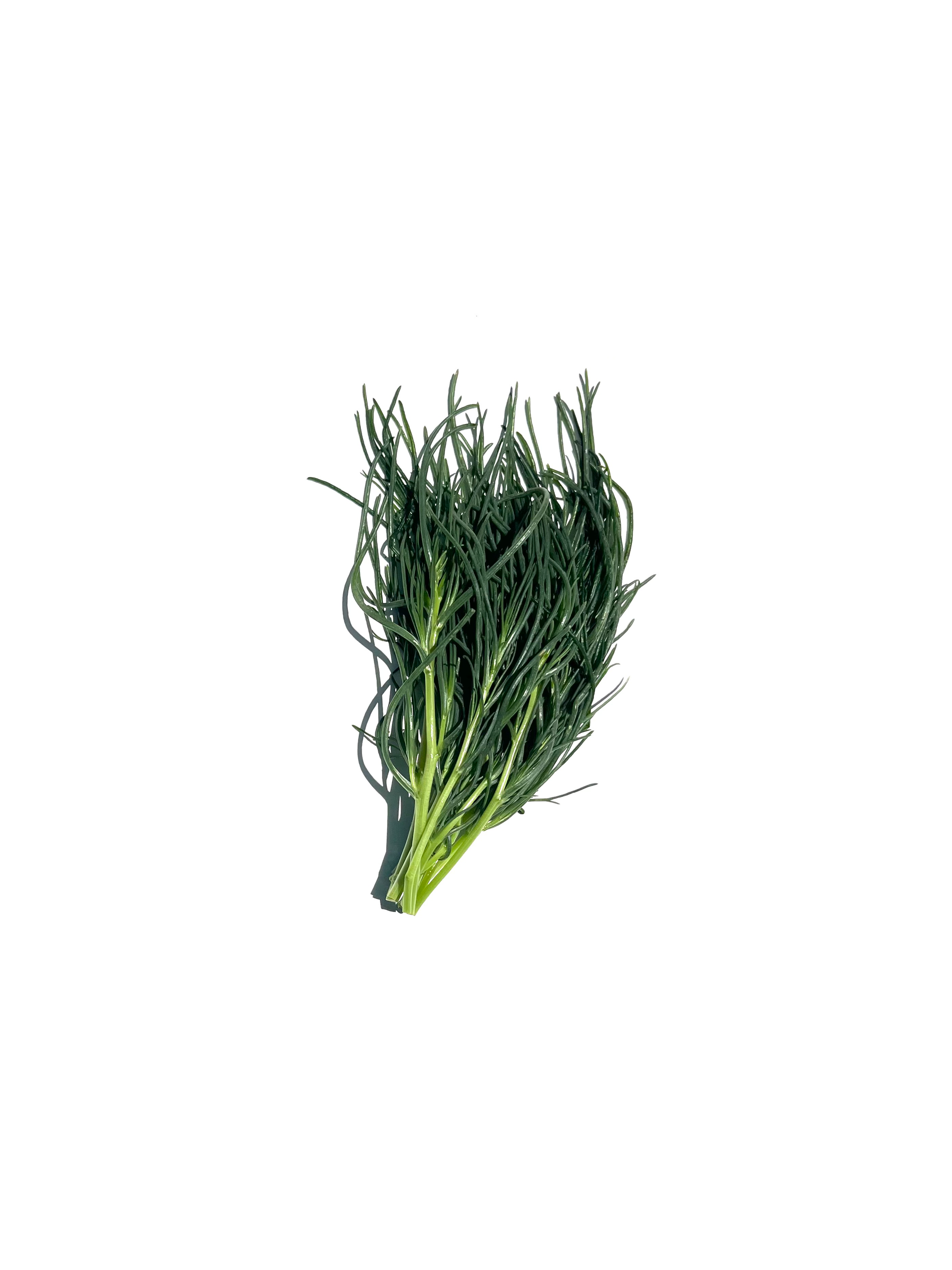 agretti no.5