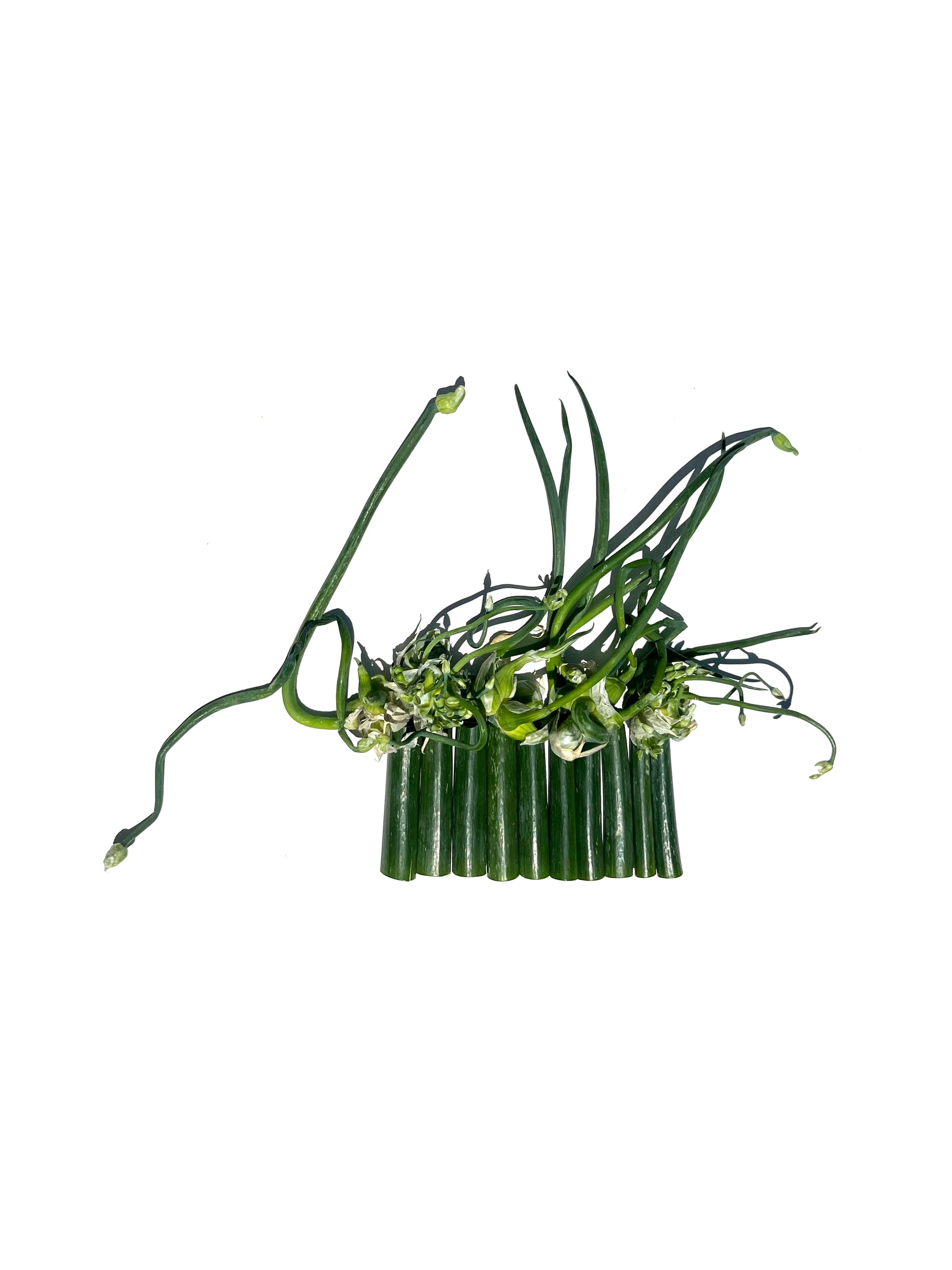 walking onion no.3
