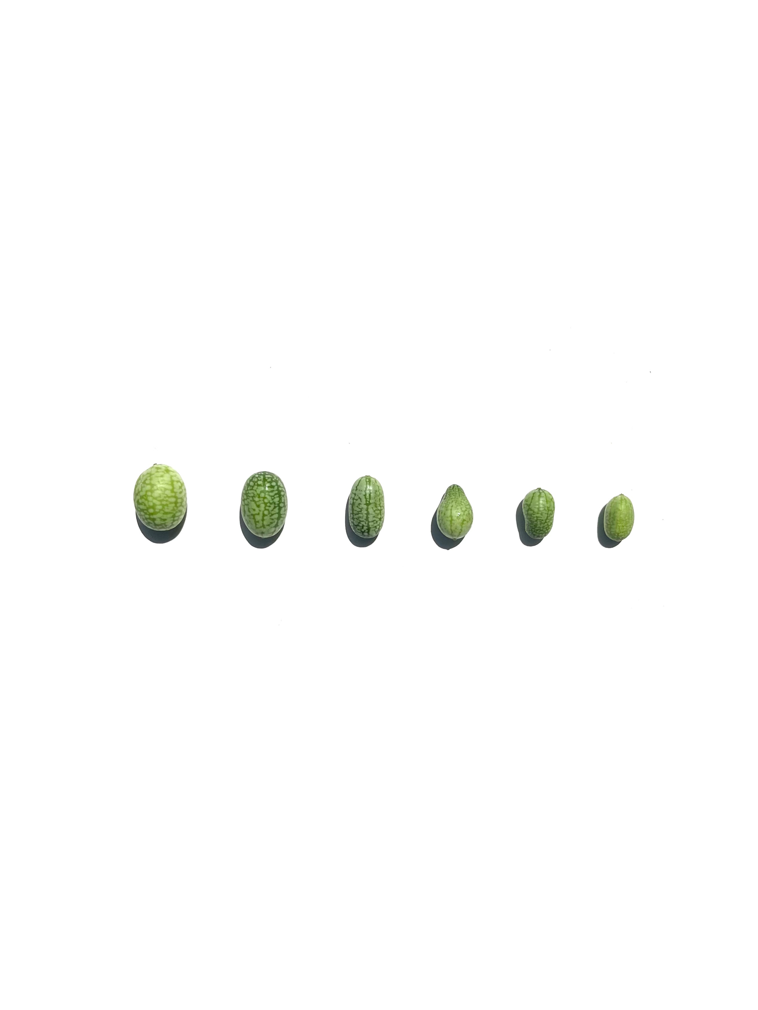 cucamelon no.3