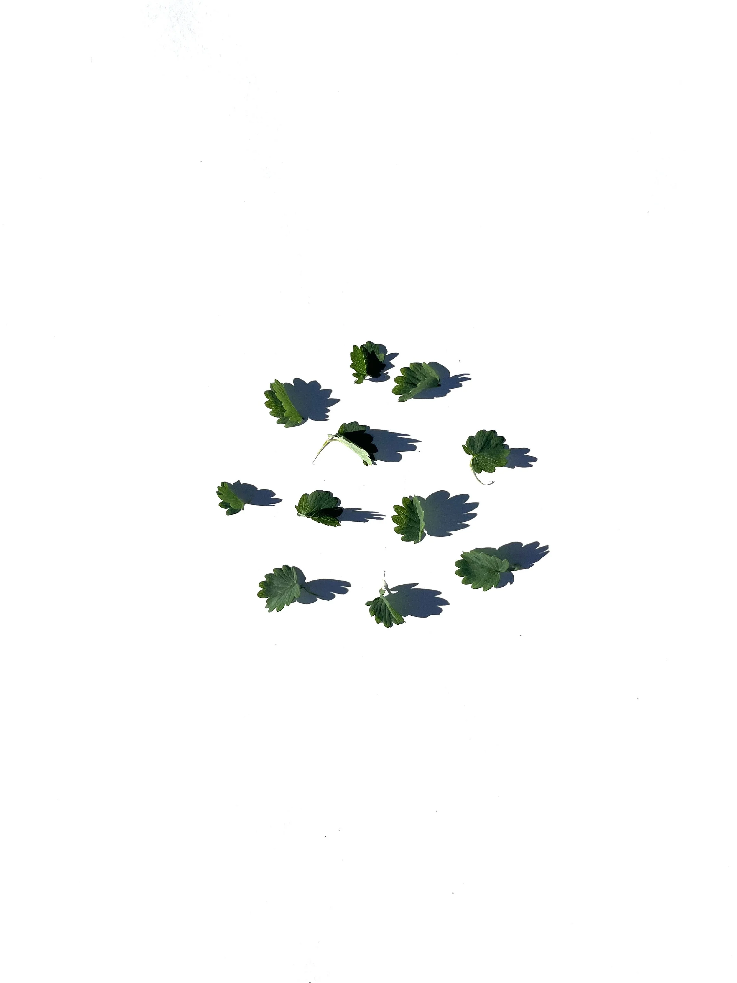 Greens series