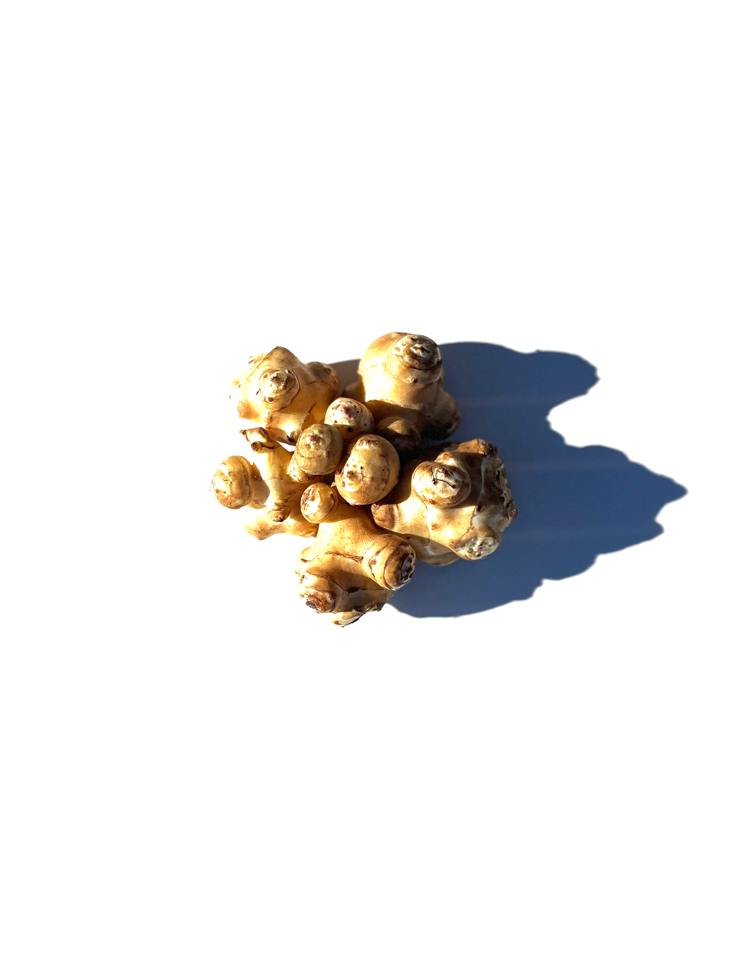 Sunchoke series