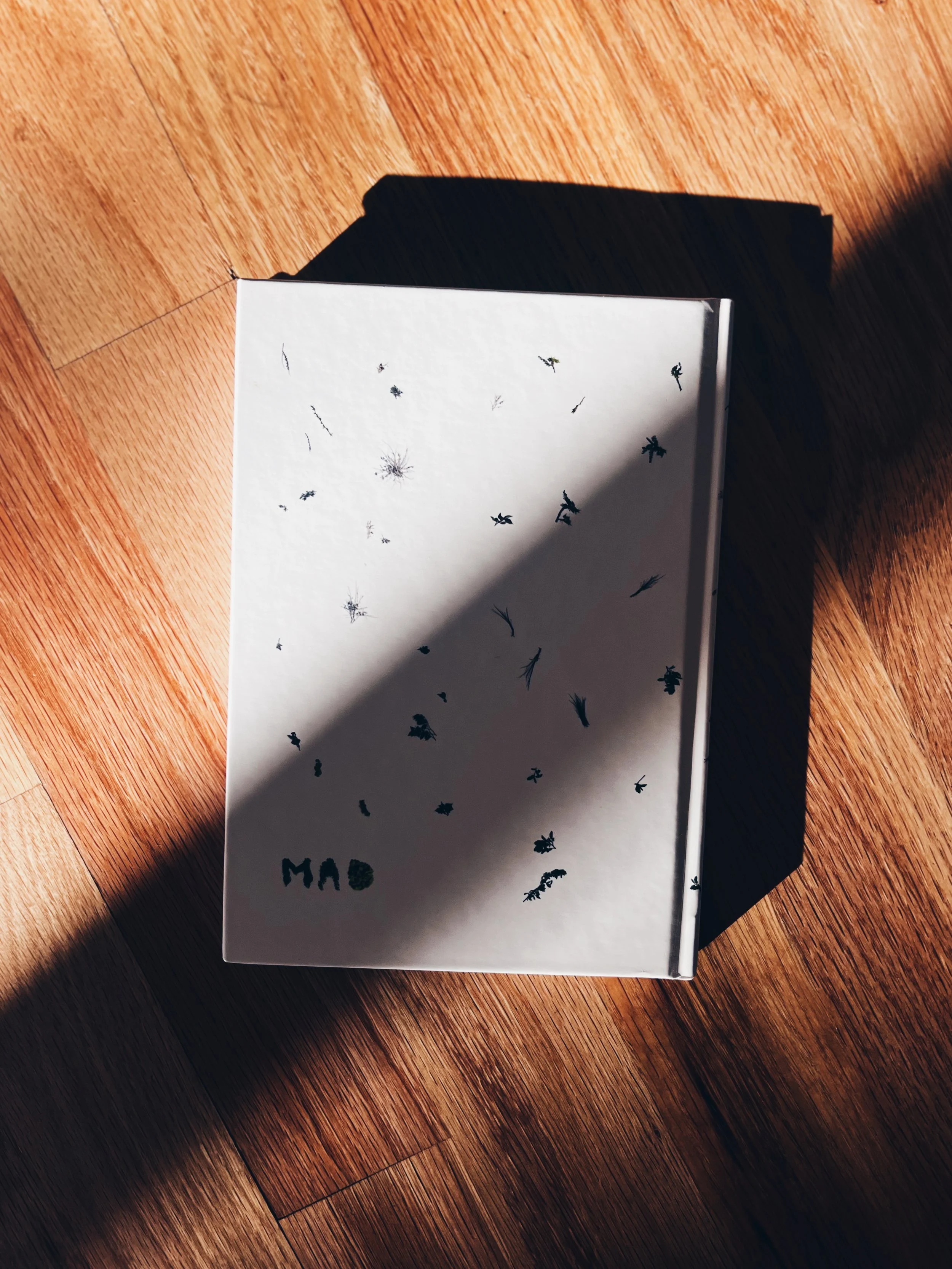 FullSizeRender_VSCO.JPG
