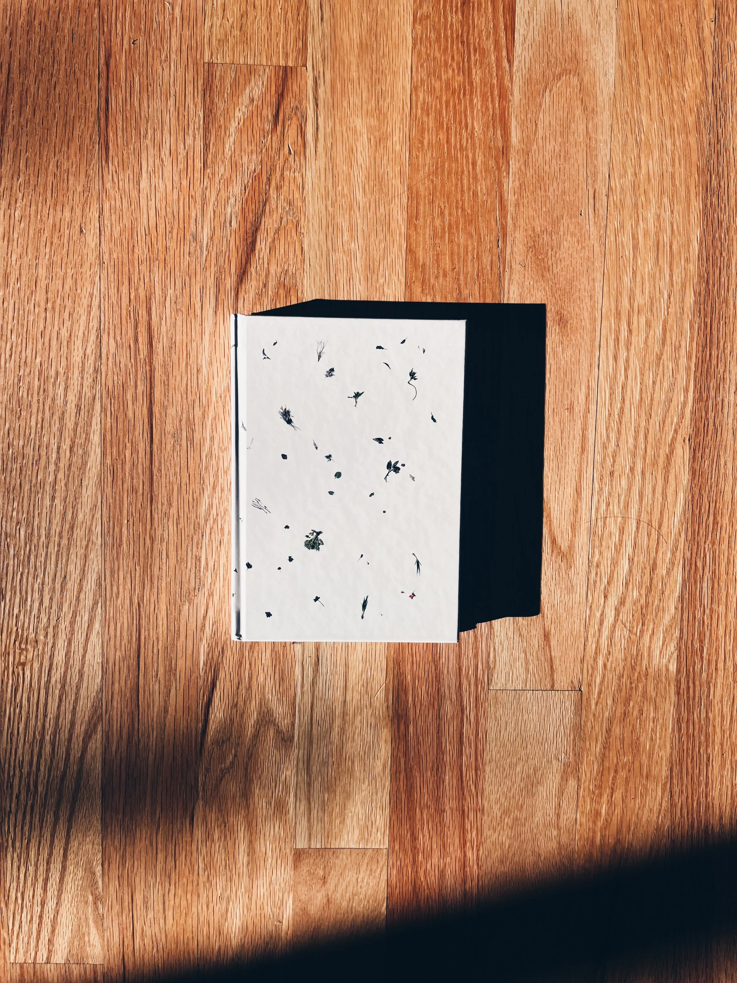 FullSizeRender_VSCO 2.JPG