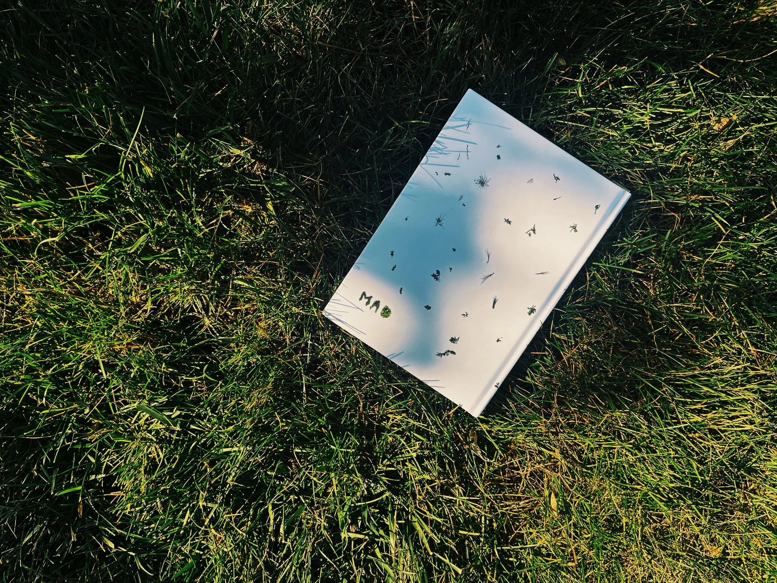 FullSizeRender_VSCO copy.JPG