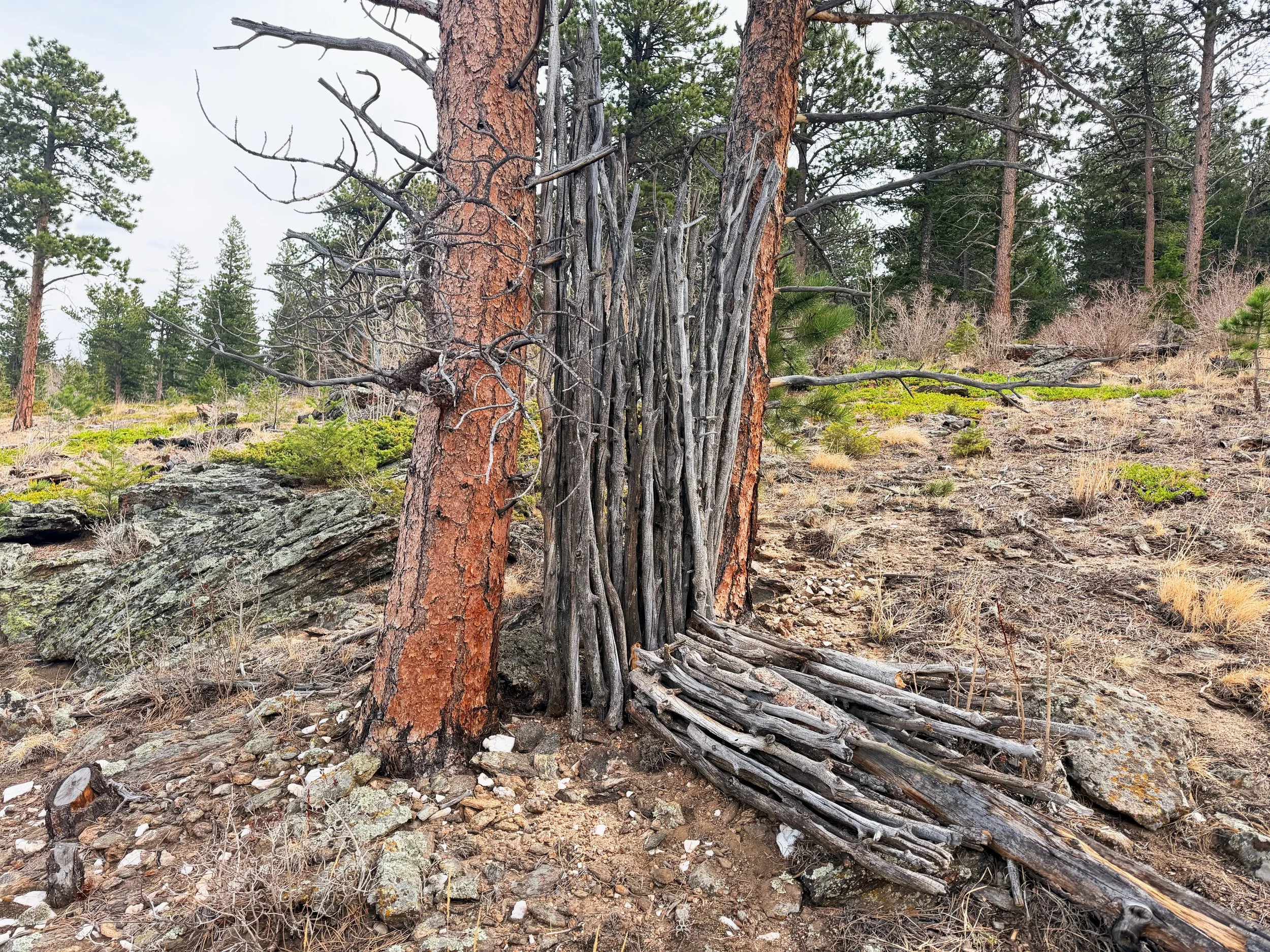 FBB0882C-3085-4CB0-8772-D244990ADA84 2.JPG