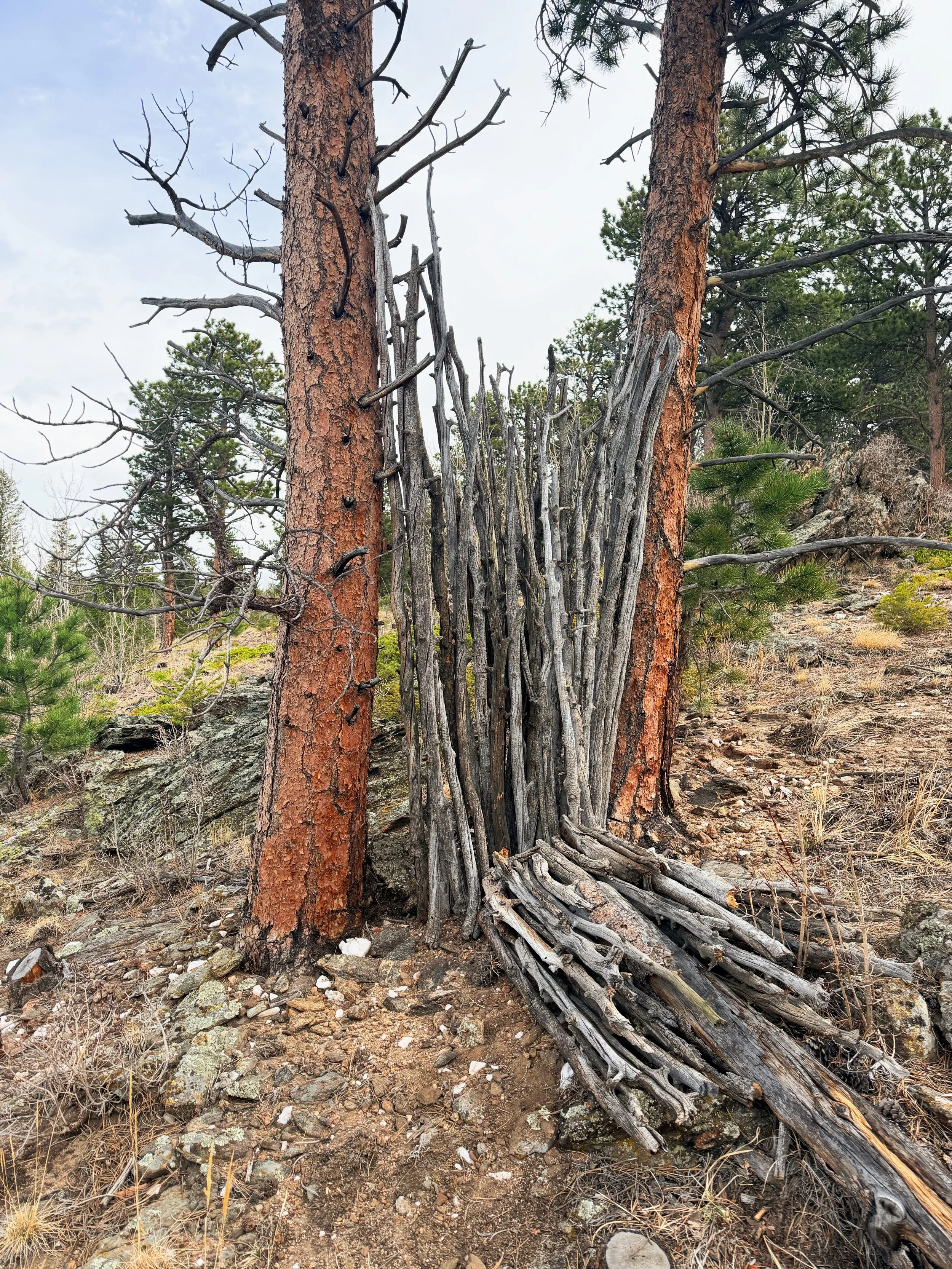 9641EEAC-905C-4C9D-807D-84441F886CB1 2.JPG