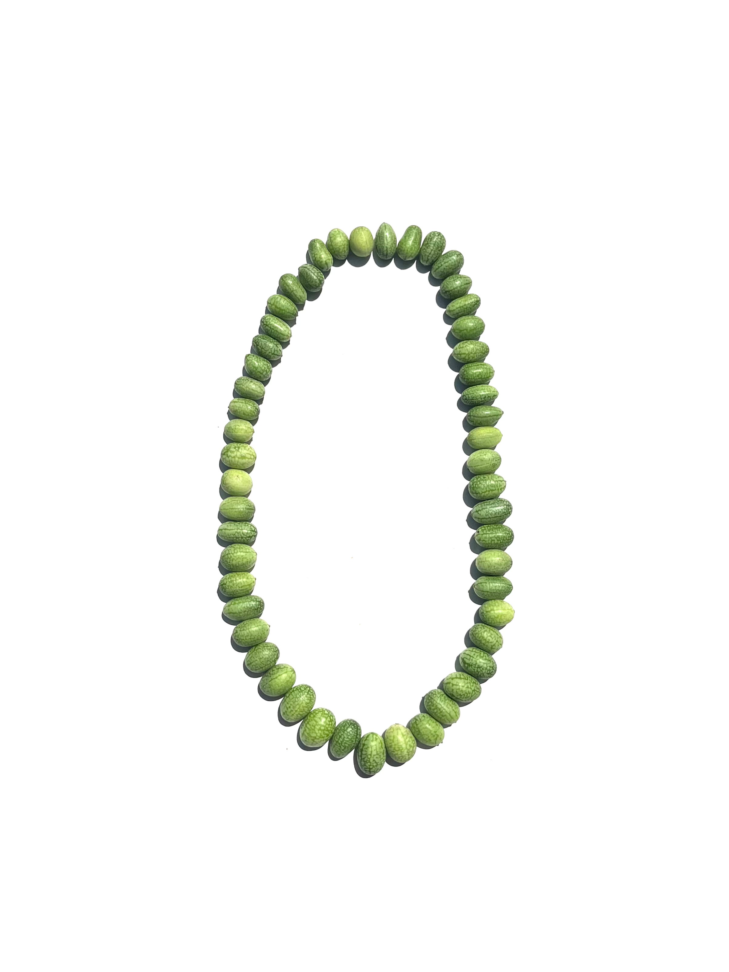 cucamelon no.2