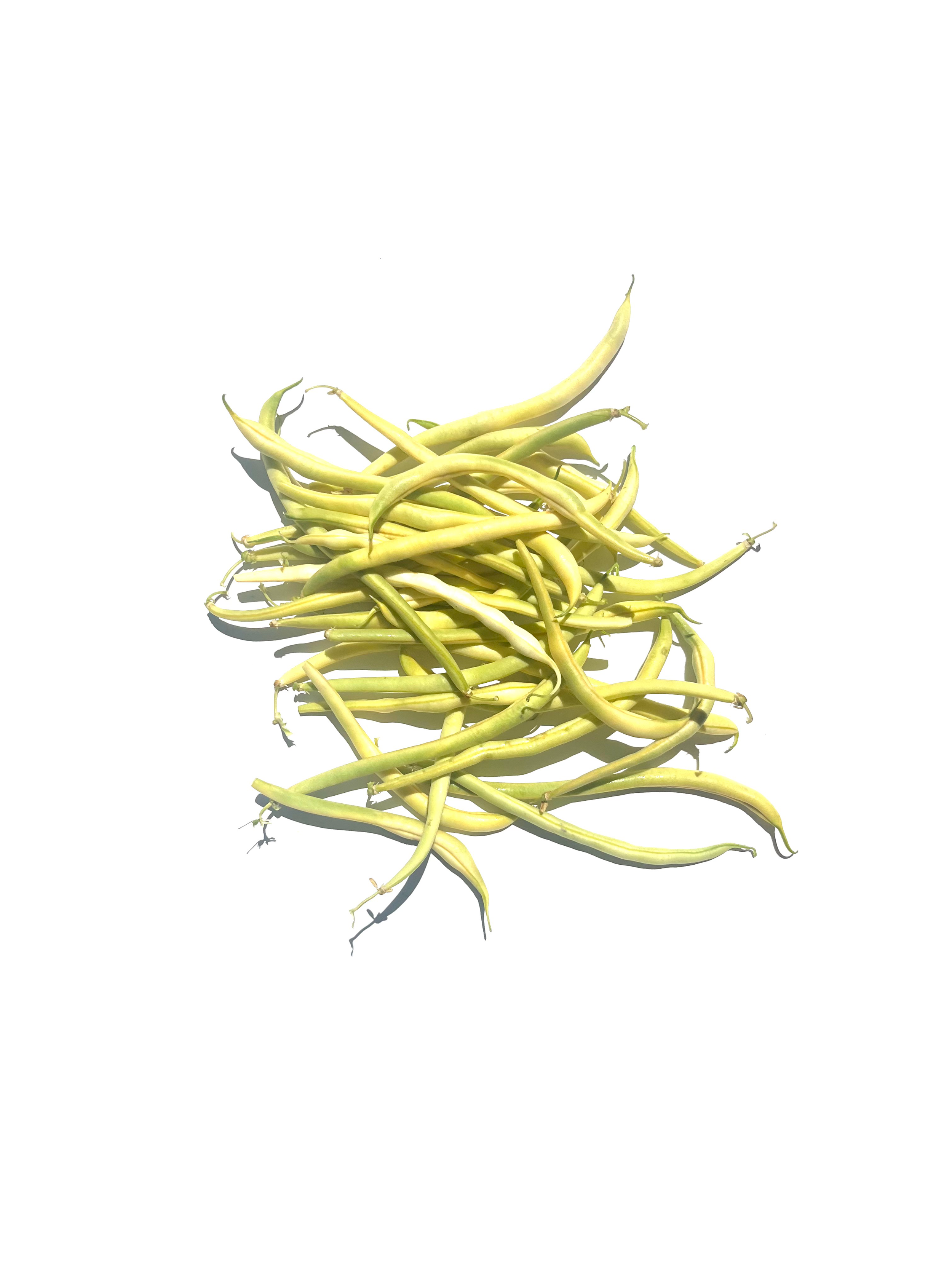yellow pole bean no.1