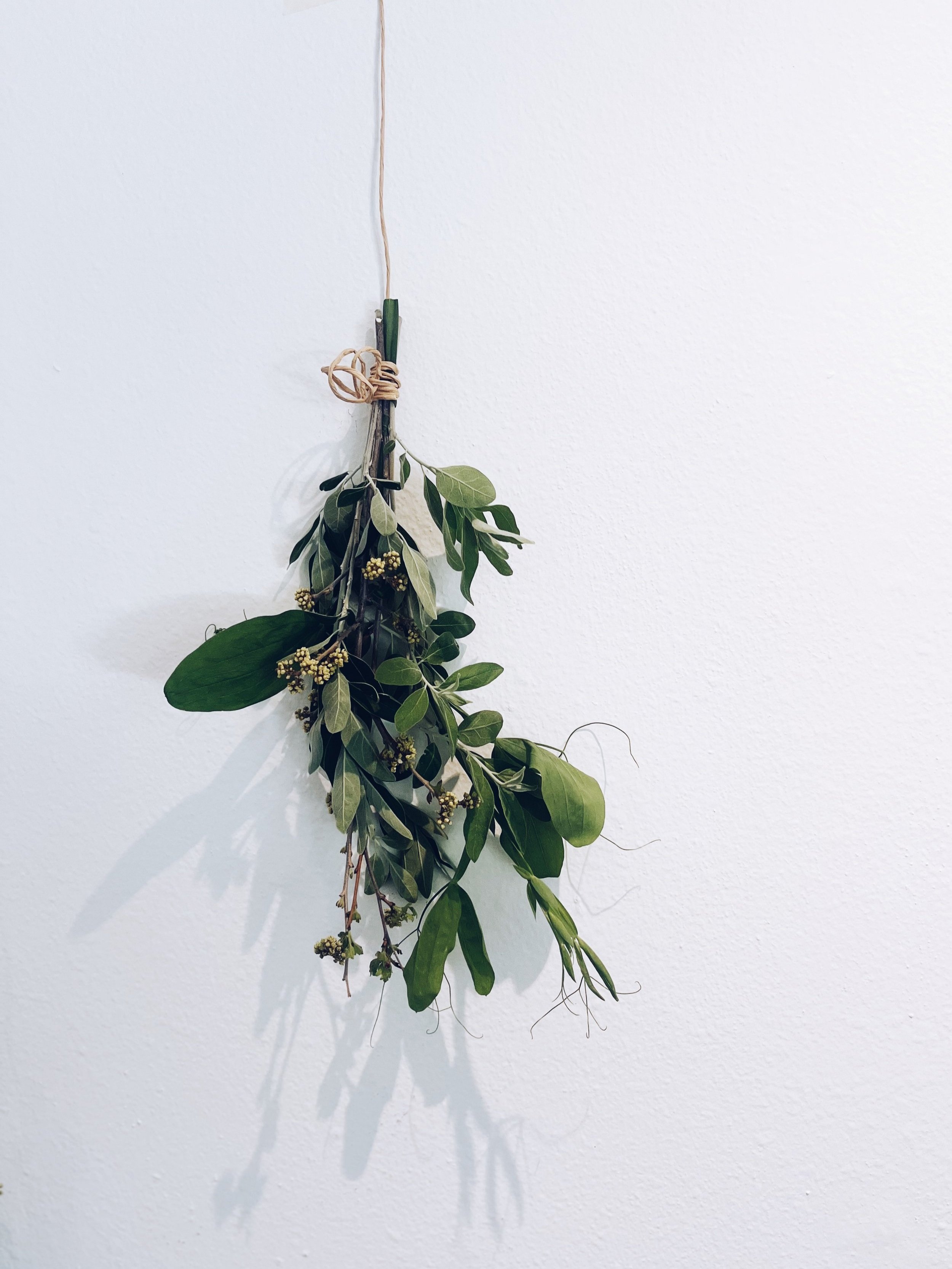 FullSizeRender_VSCO.jpg