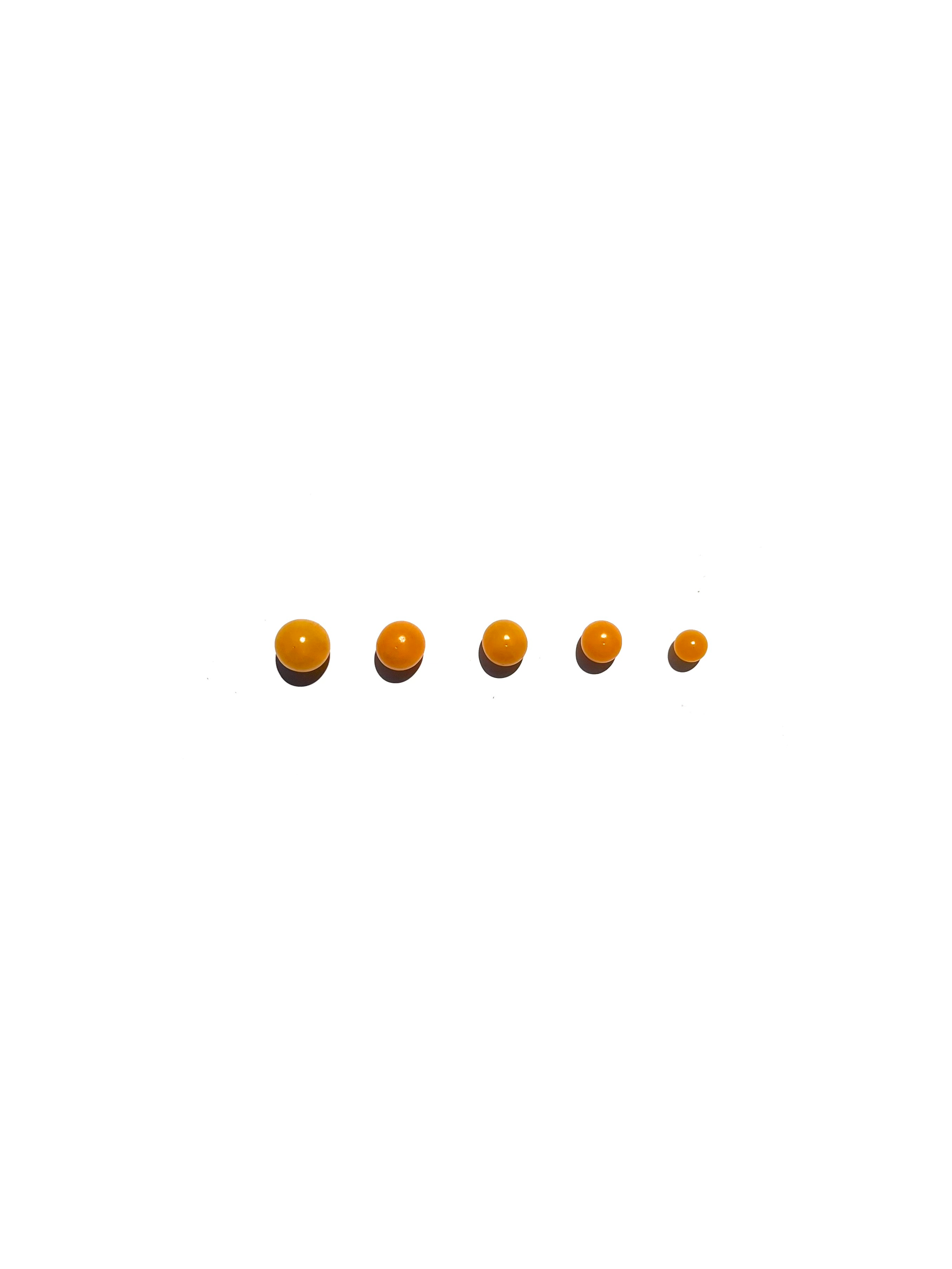 currant tomato no.2