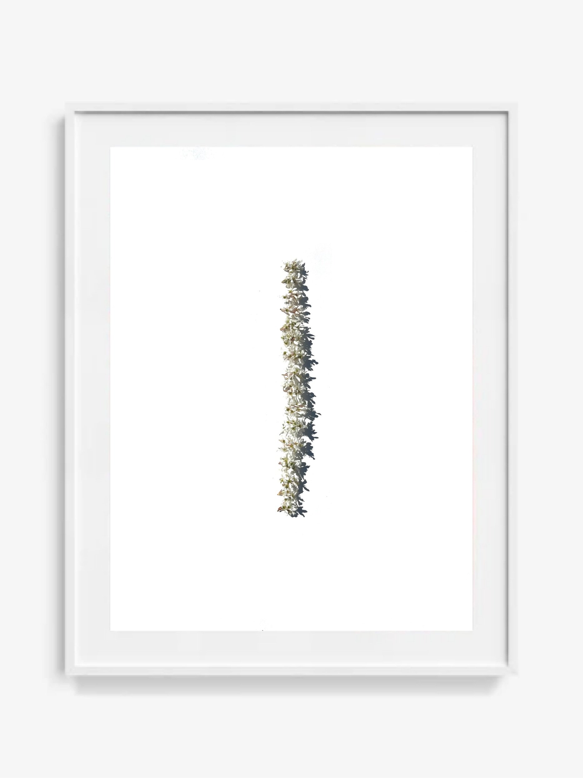 juneberry+frame+no.3.jpg