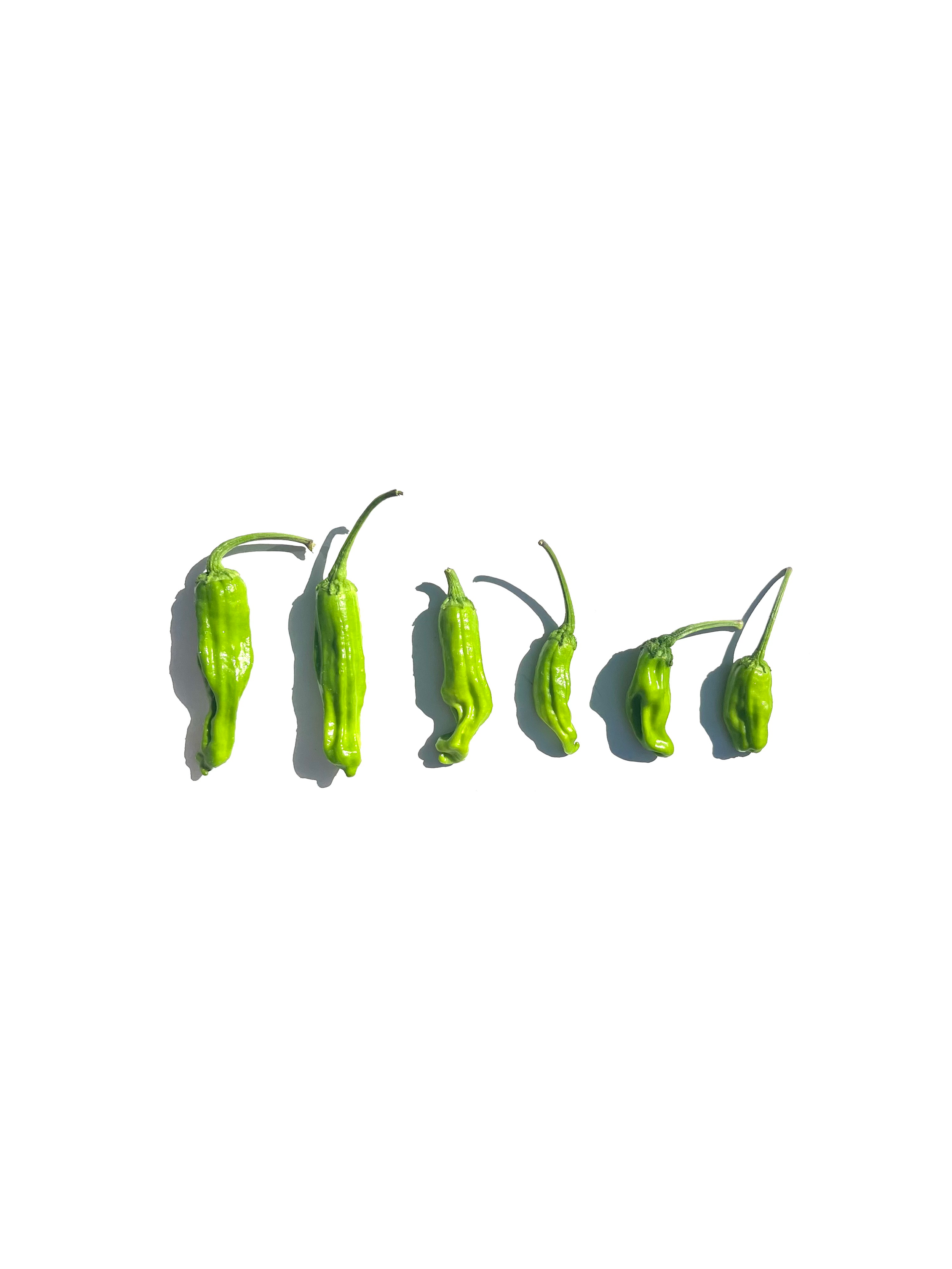 pepperoncini no.2