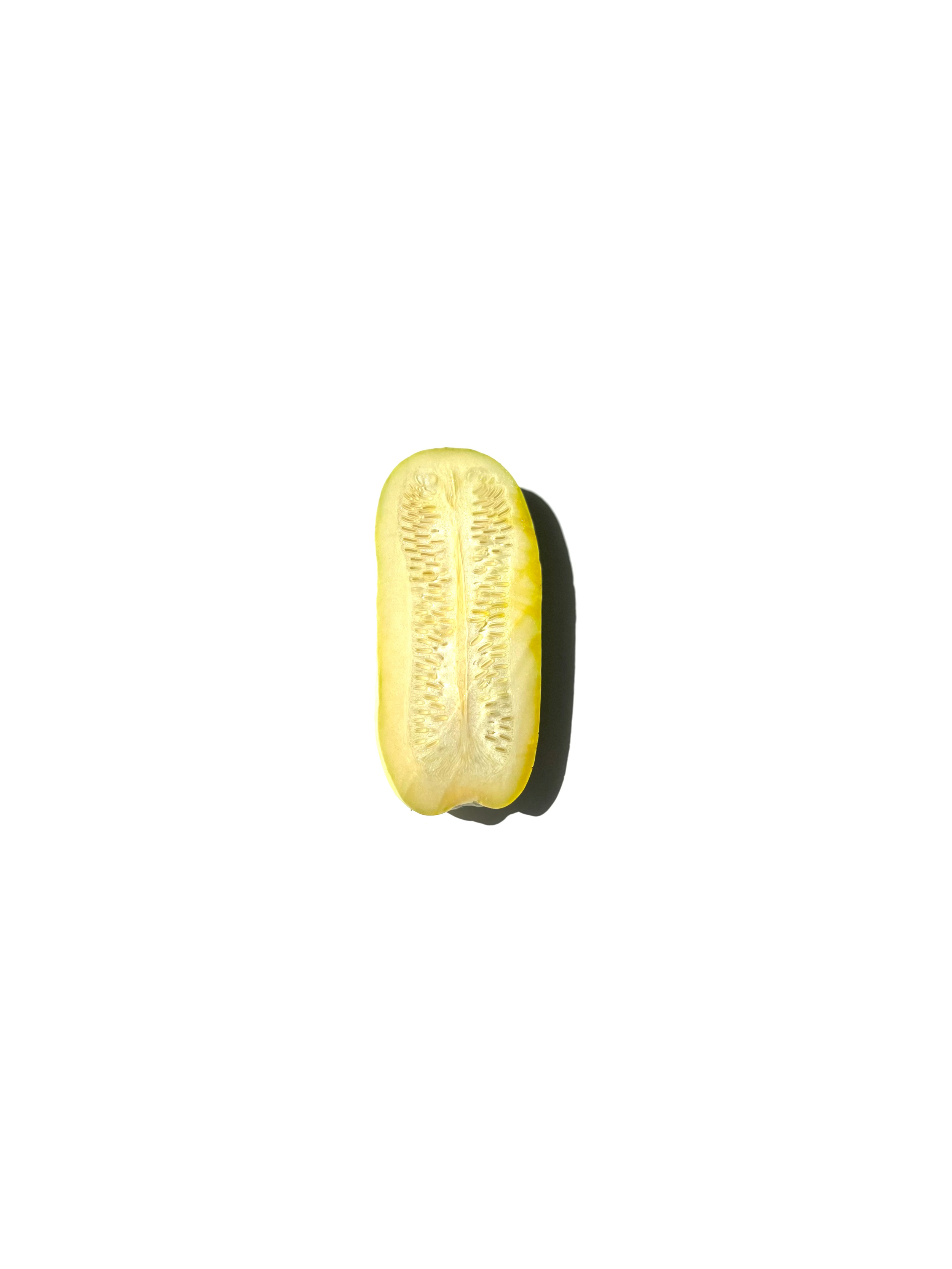 tetra squash no.2