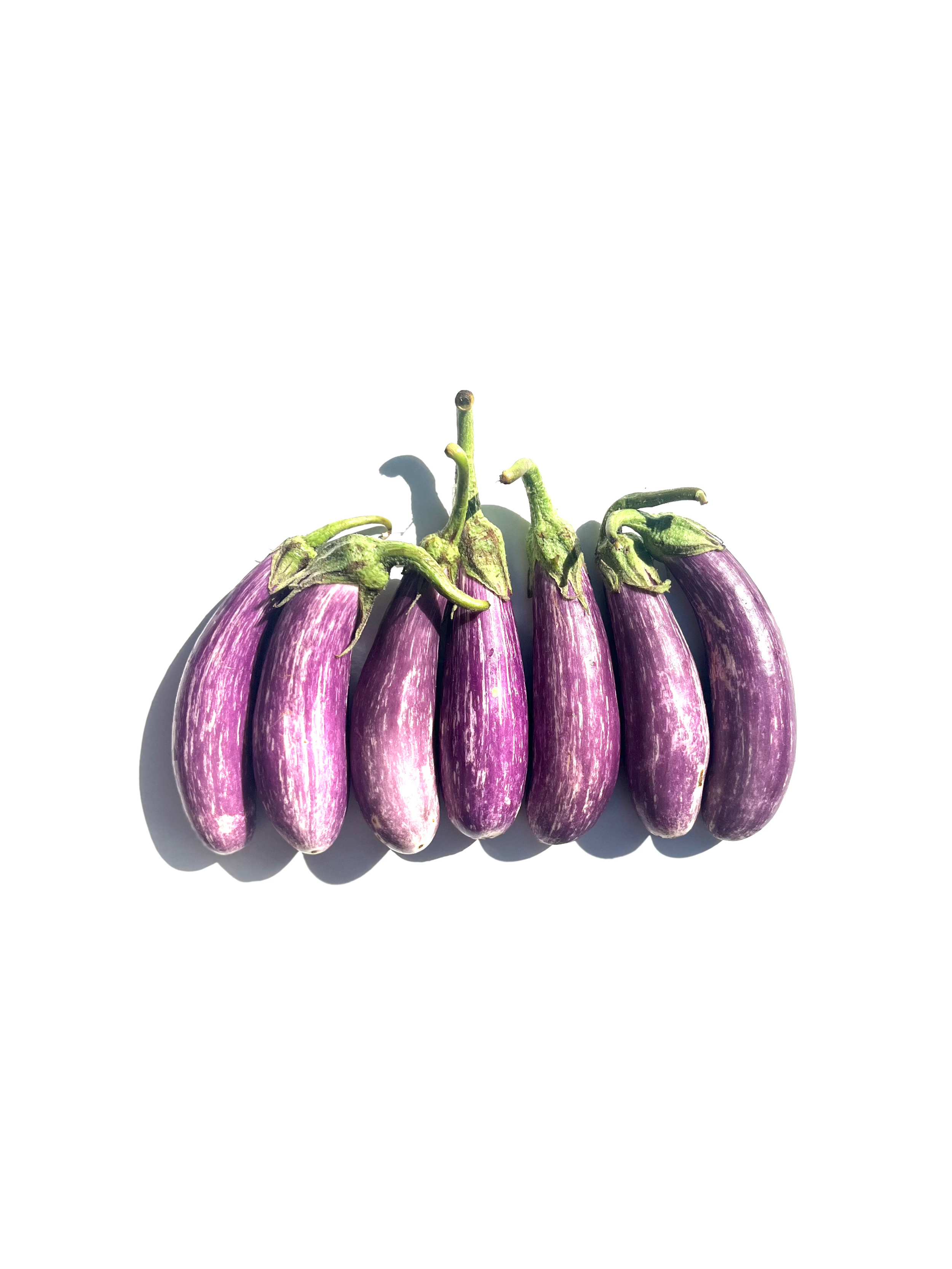 fairy tale eggplant no.3