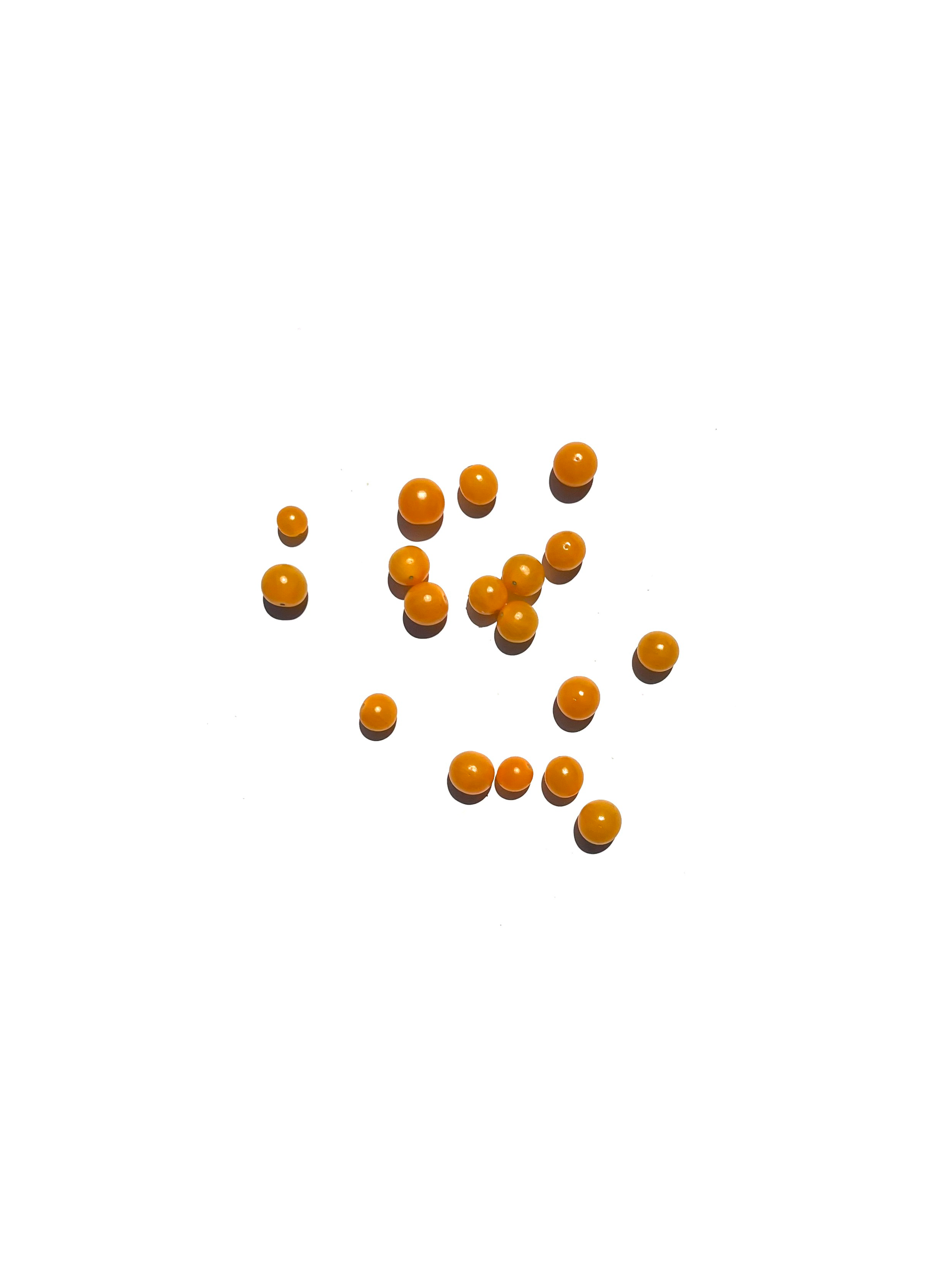 currant tomato no.4